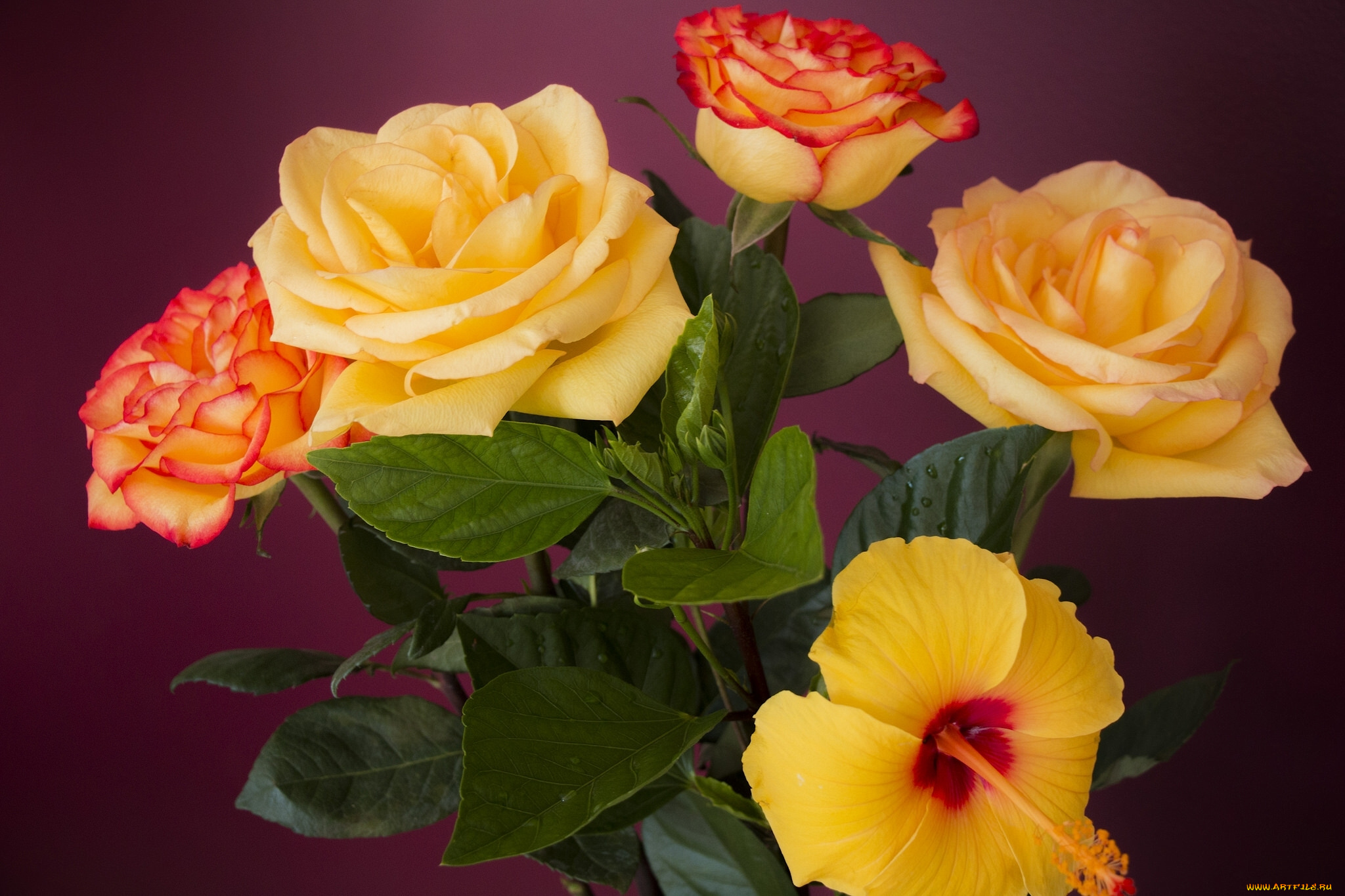 цветы, разные, вместе, гибискус, розы, букет, лепестки, бутоны