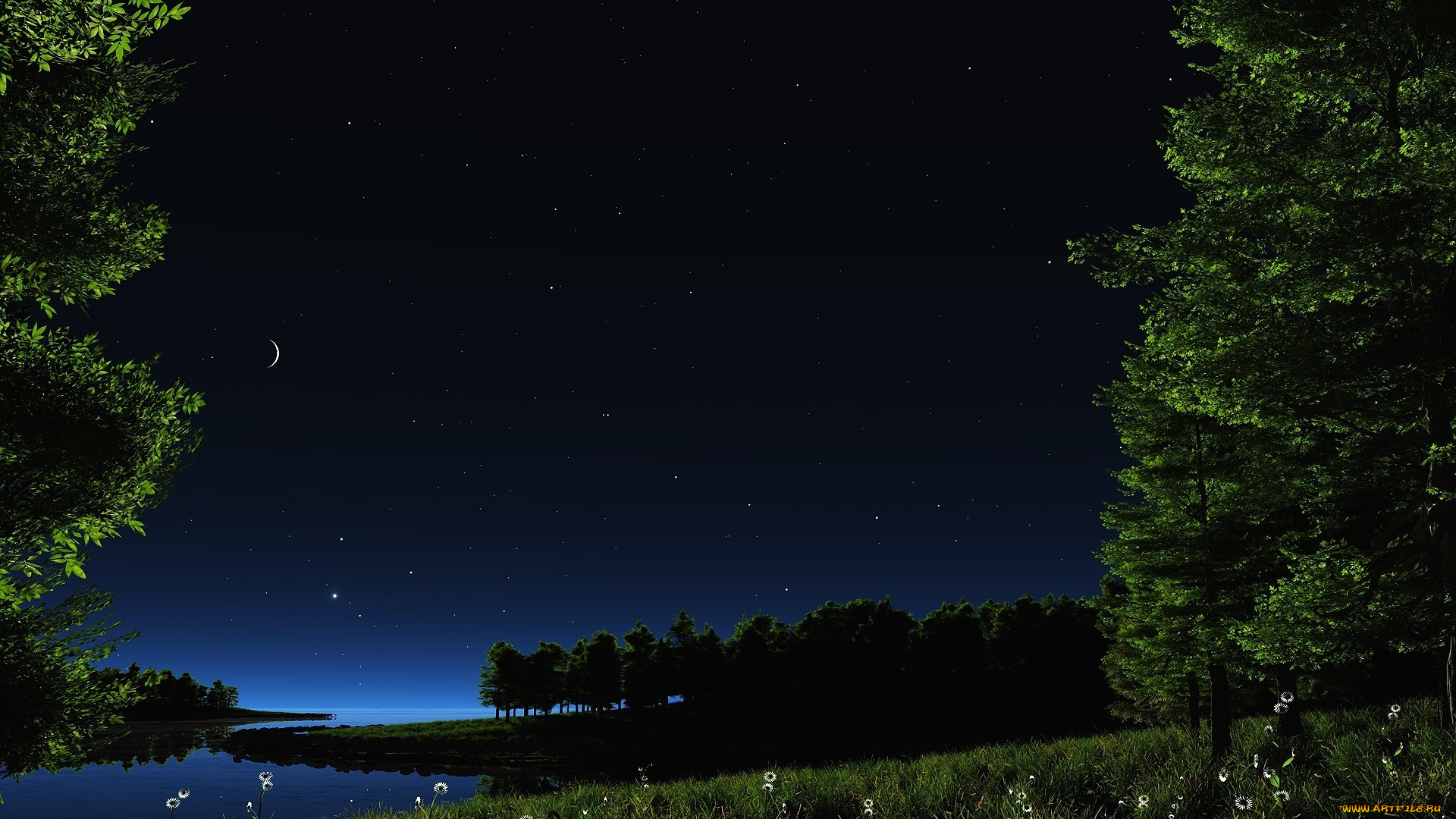 3д, графика, природа, , nature, трава, цветы, деревья, месяц, звёзды, небо, ночь