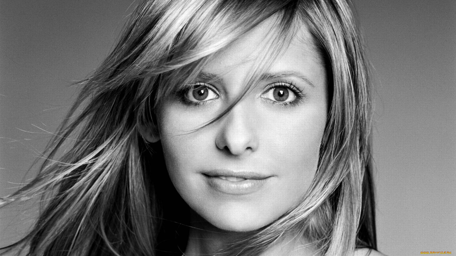 девушки, sarah, michelle, gellar, черно-белая, улыбка, актриса, лицо, блондинка, сара, мишель, геллар