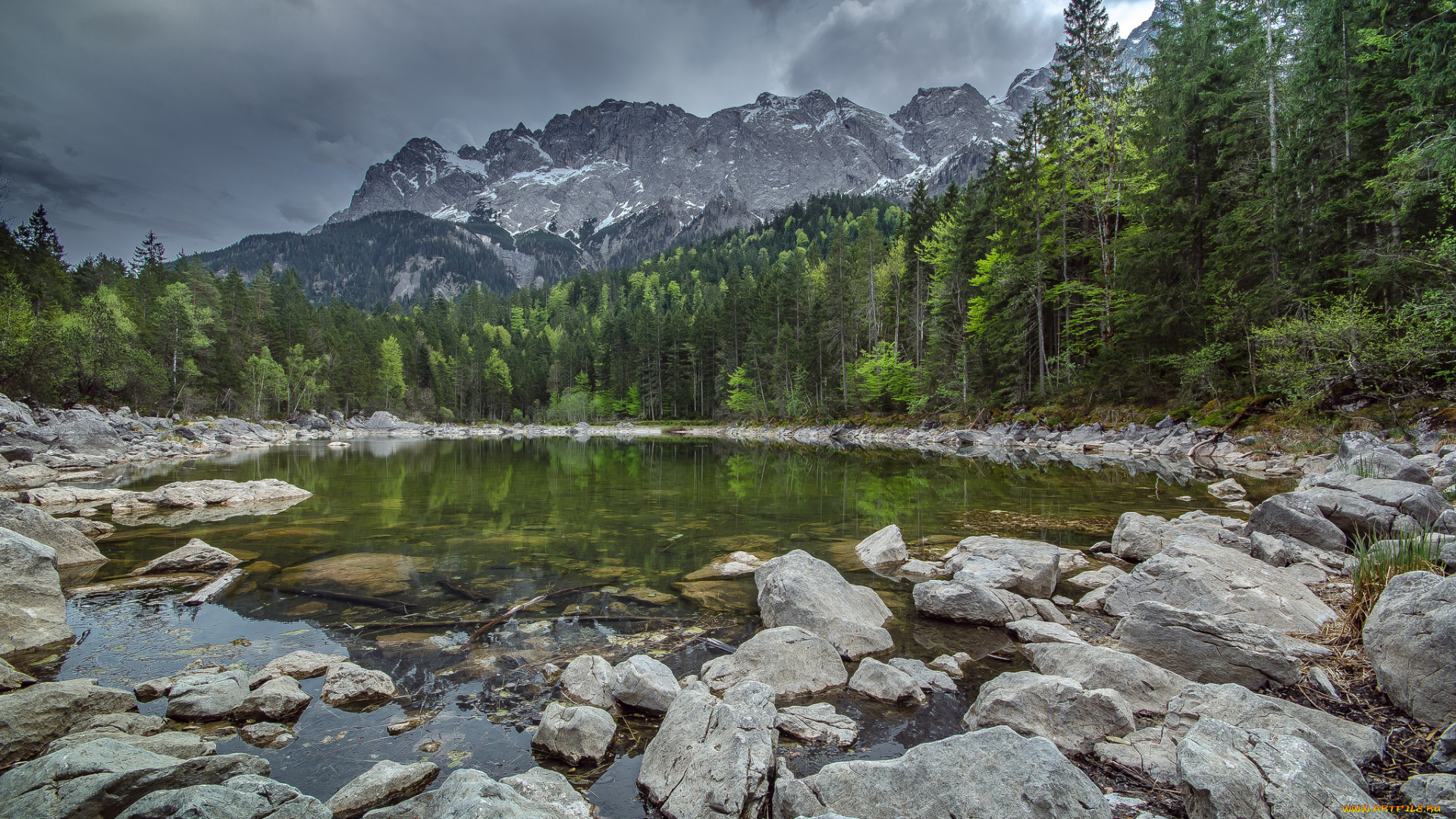 природа, реки, озера, река, лес