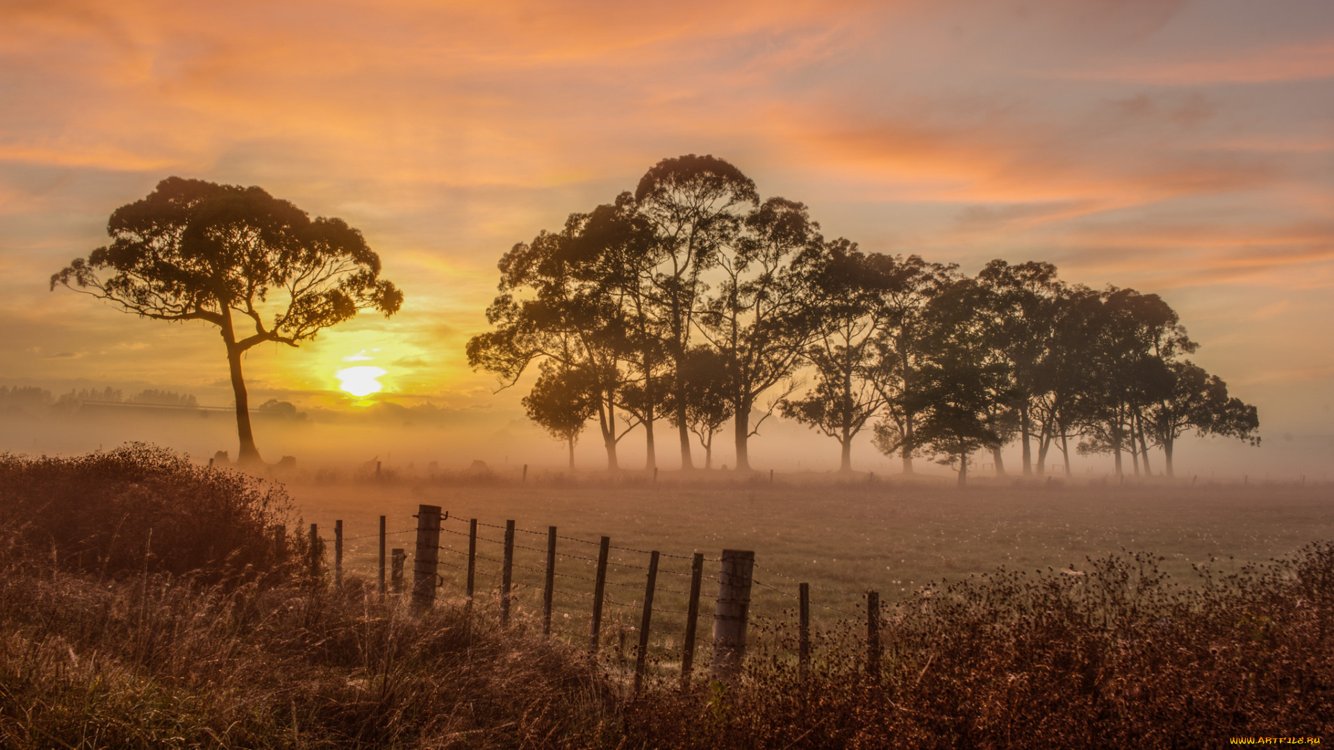 природа, восходы, закаты, рассвет