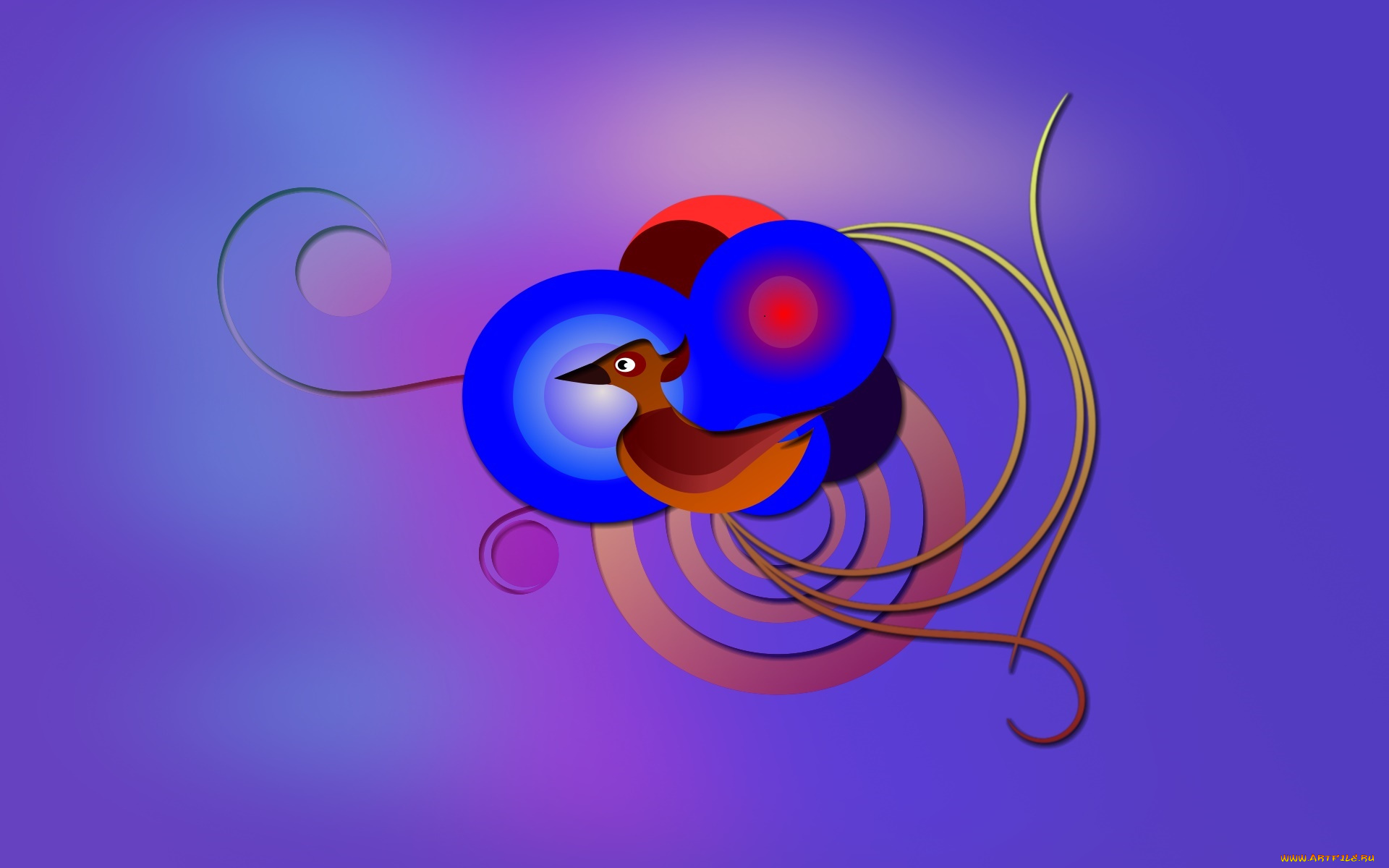 векторная, графика, животные, , animals, узор, фон, цвета, птица