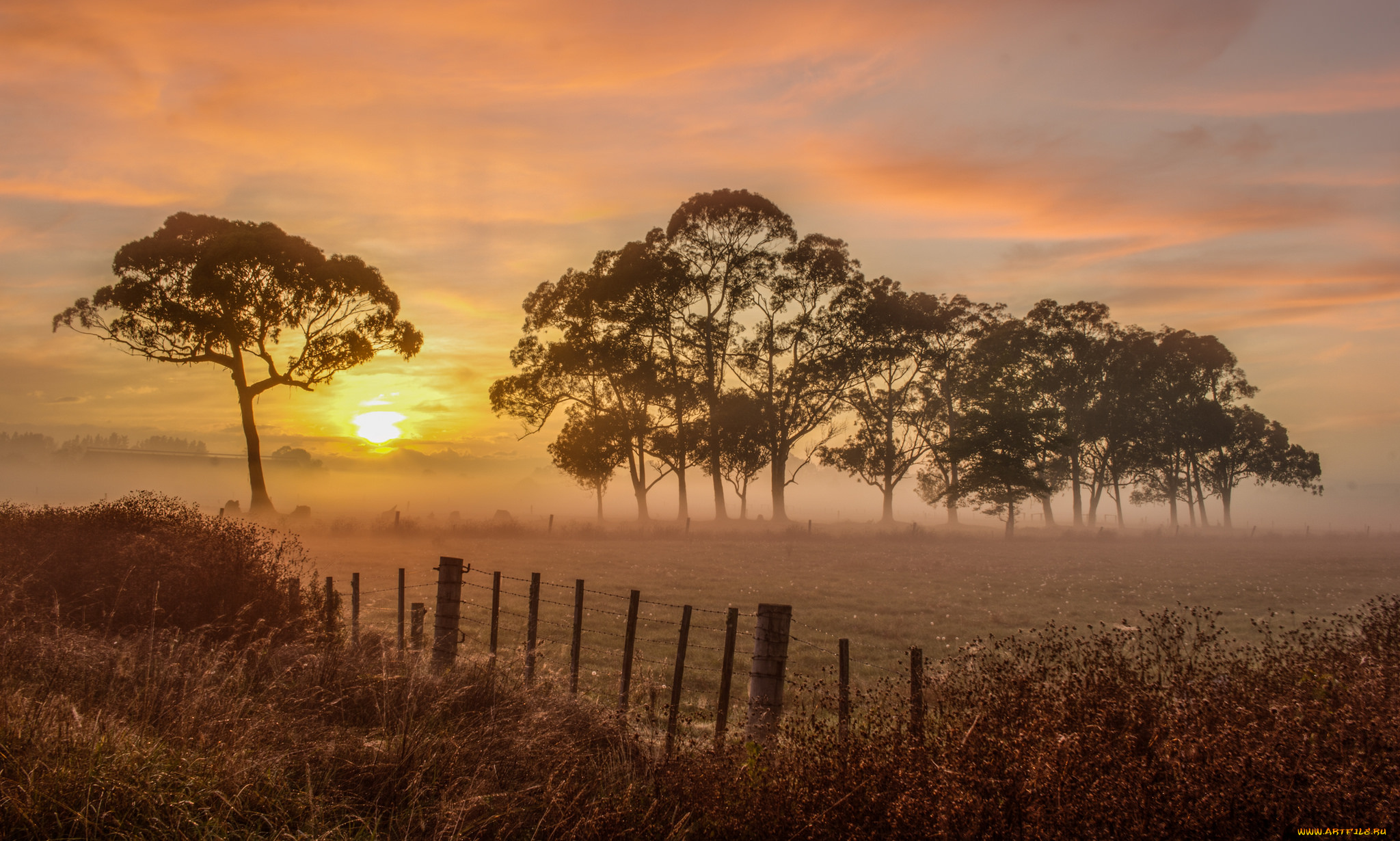 природа, восходы, закаты, рассвет