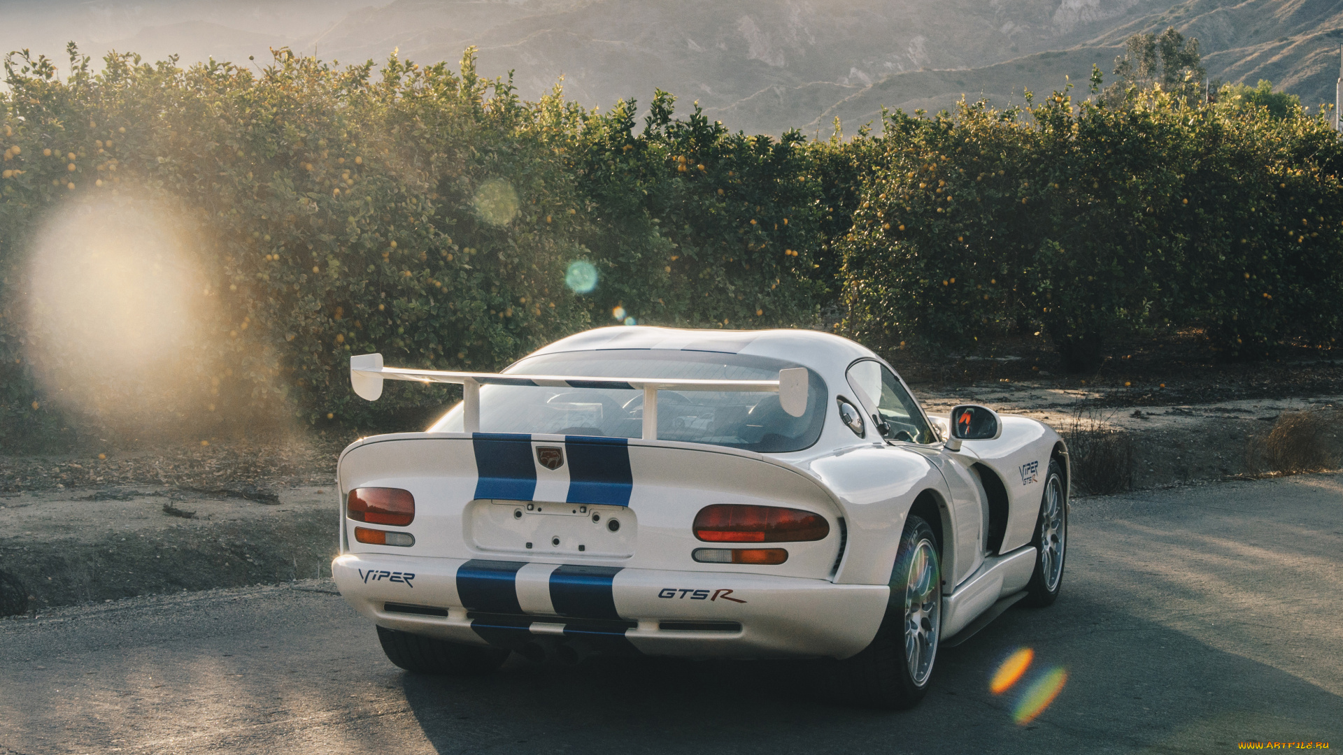 автомобили, dodge