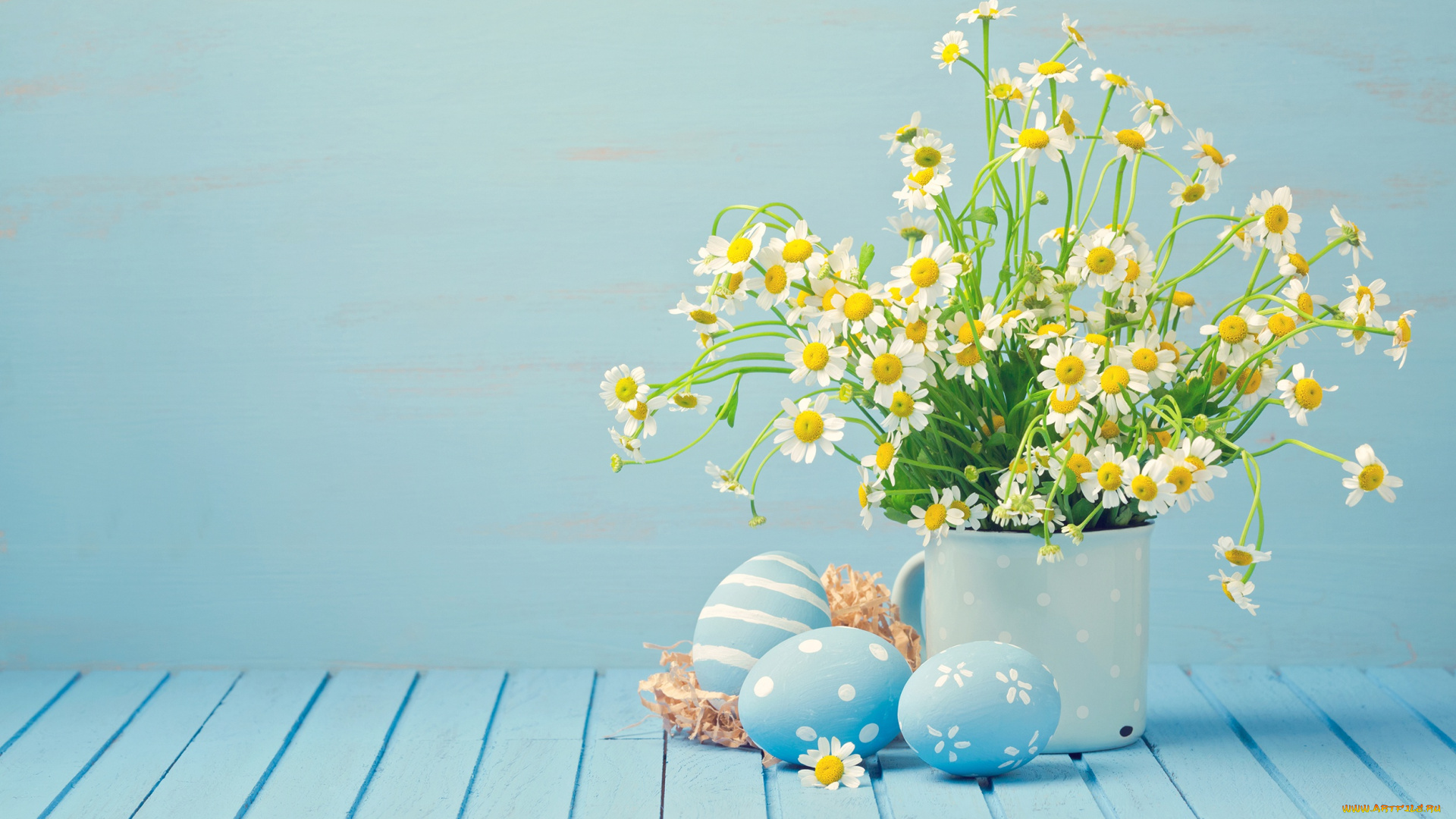 праздничные, пасха, яйца, ромашки