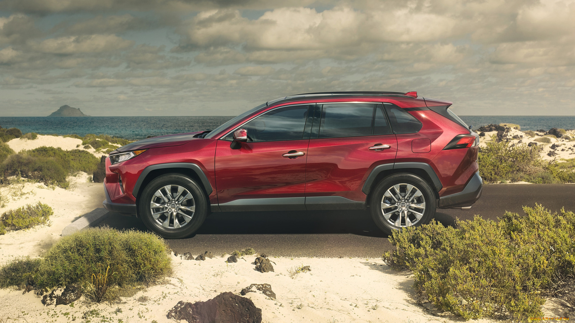 toyota, rav4, 2019, автомобили, toyota, 2019, crossover, rav4