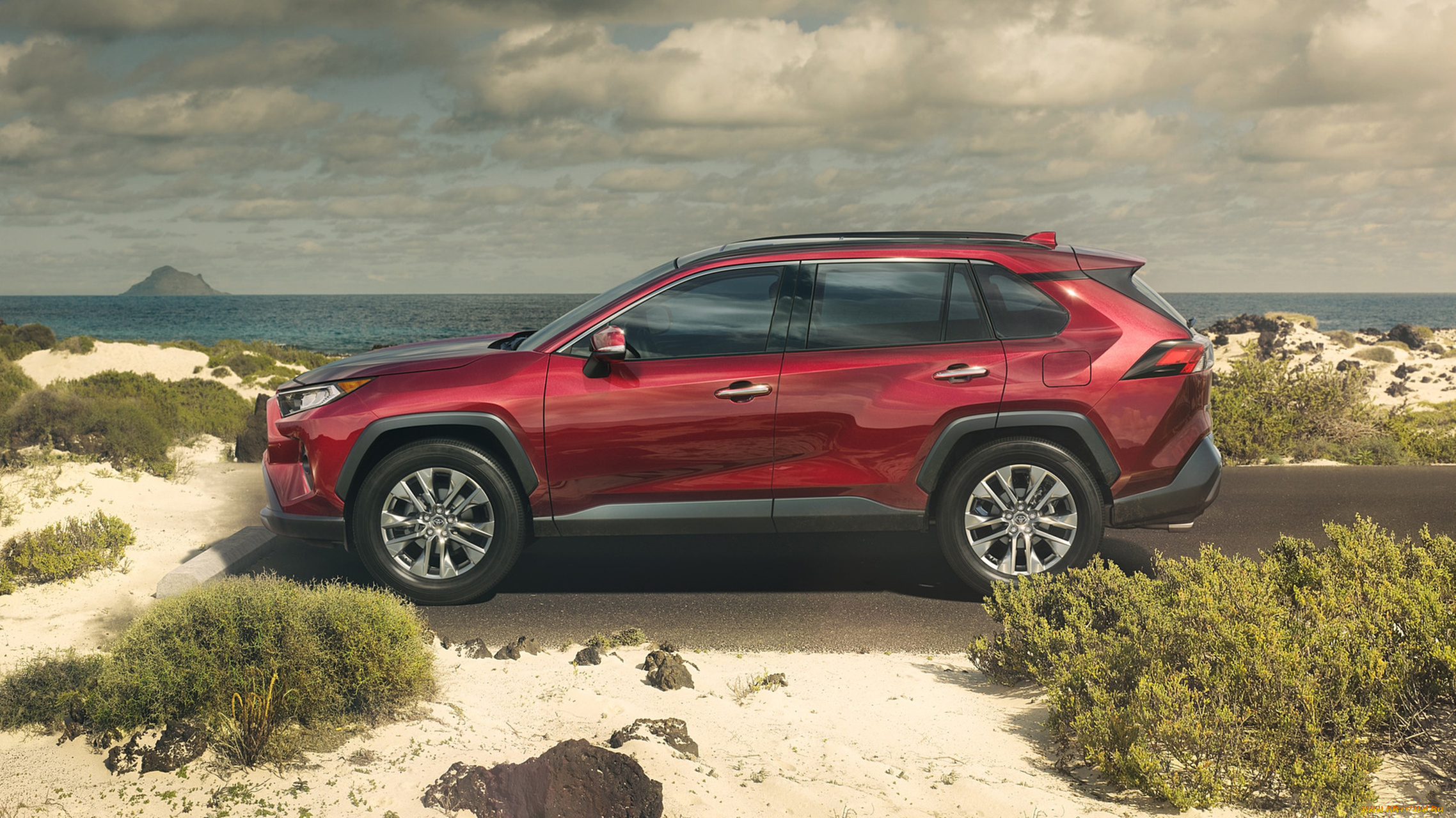 toyota, rav4, 2019, автомобили, toyota, 2019, crossover, rav4