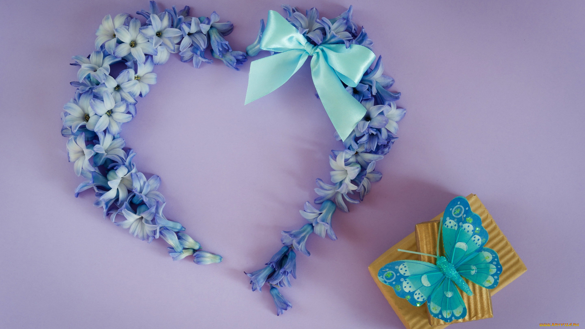 праздничные, день, святого, валентина, , сердечки, , любовь, бабочка, гиацинт