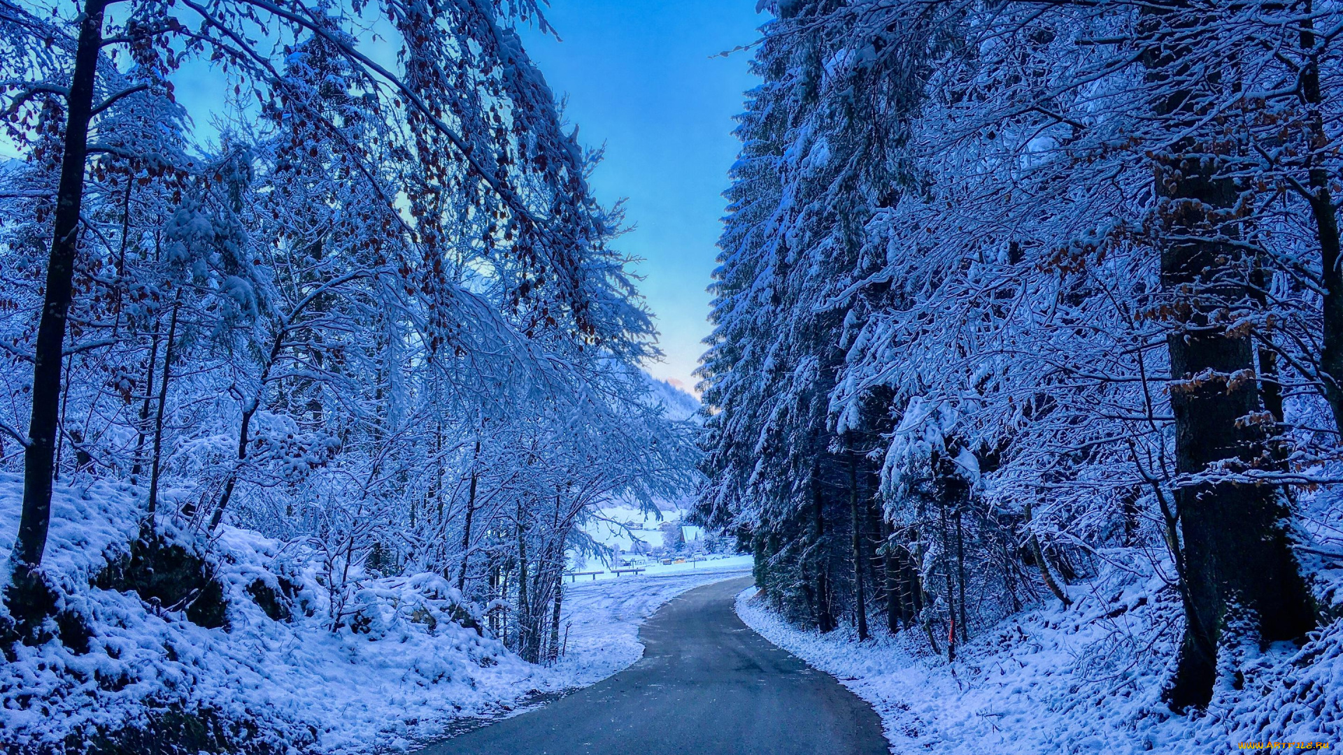 природа, дороги, деревья, снег