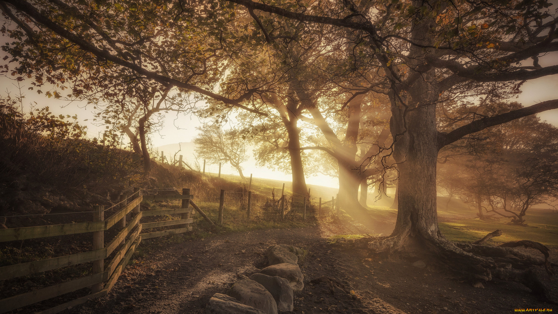 природа, дороги, простор