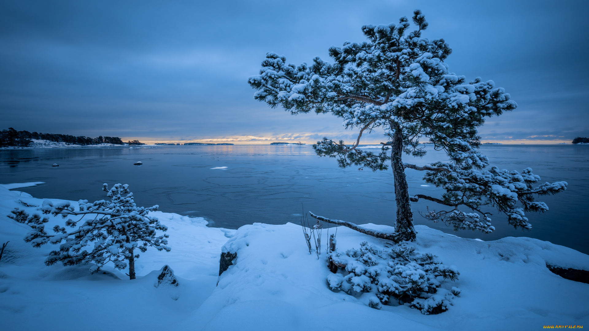 природа, зима, озеро, деревья, снег