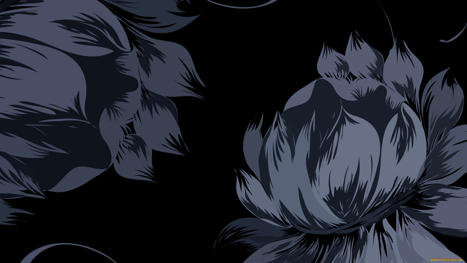 векторная, графика, цветы, , flowers, фон, цветы