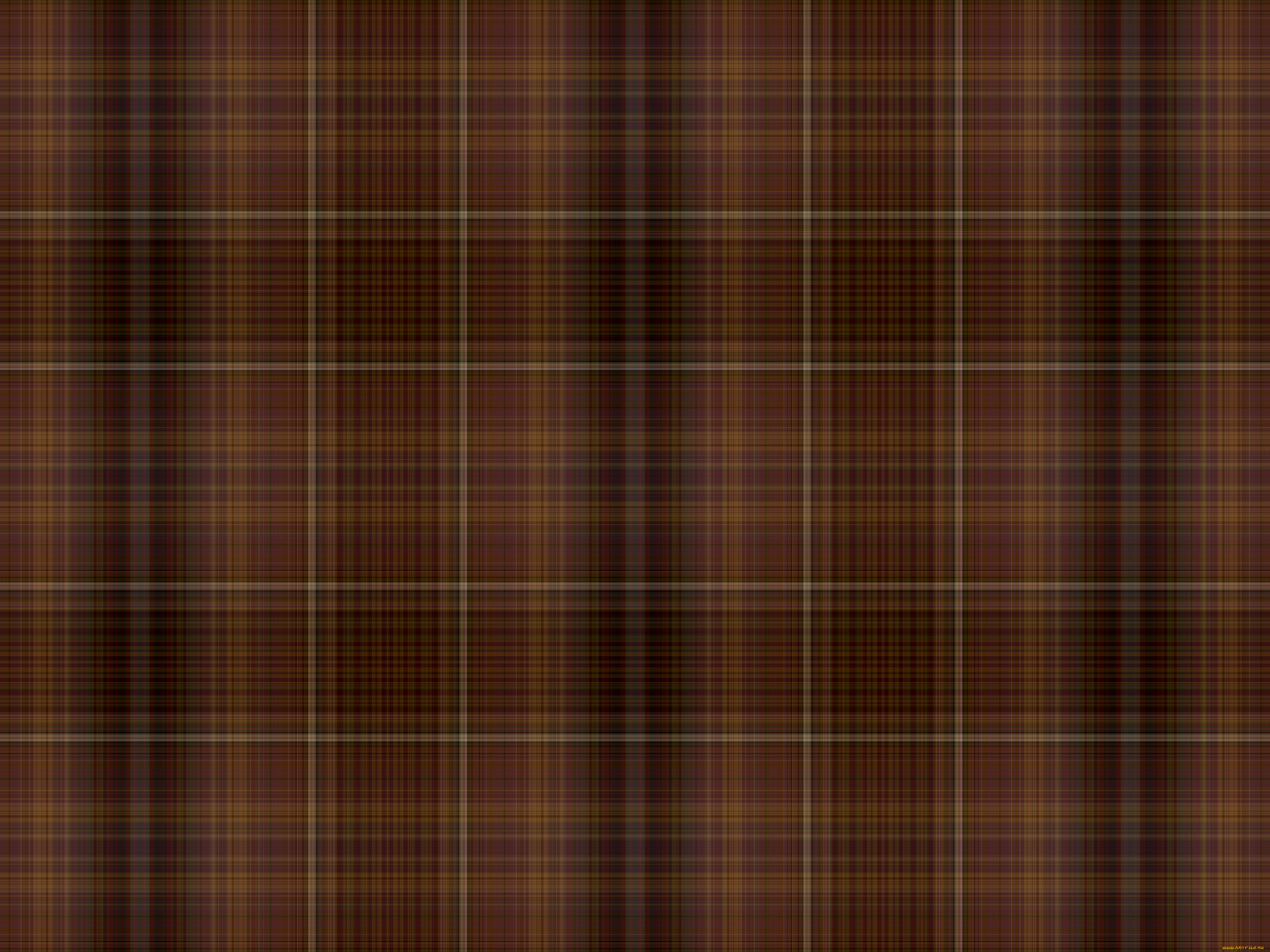 векторная, графика, -графика, , graphics, цвет, фон, узор