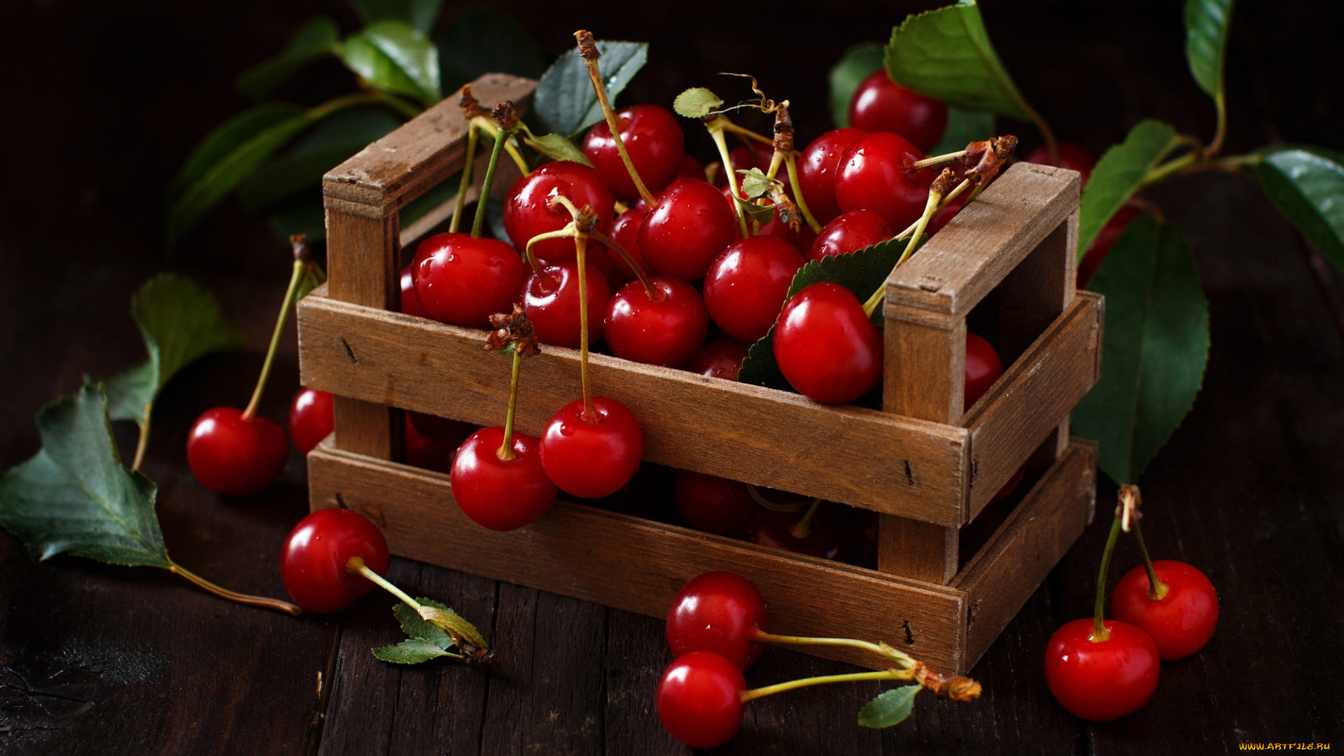 еда, вишня, , черешня