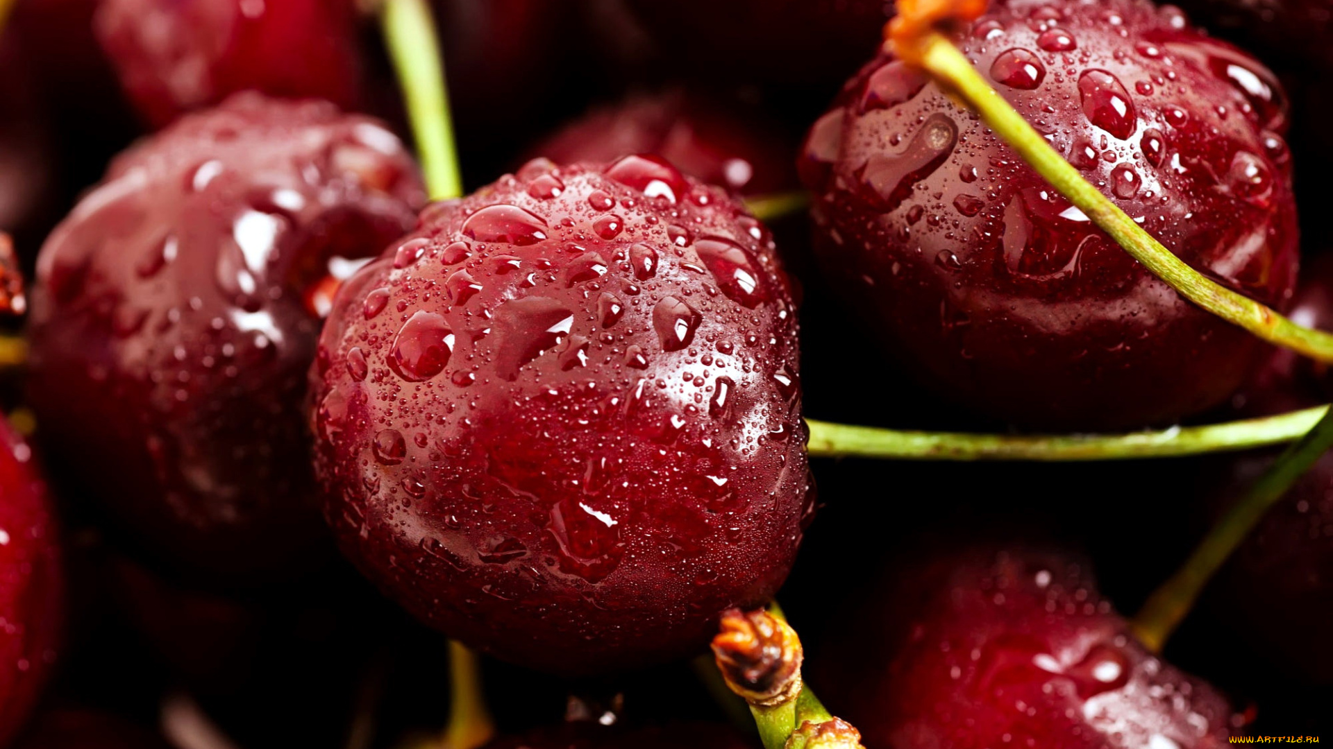 еда, вишня, , черешня