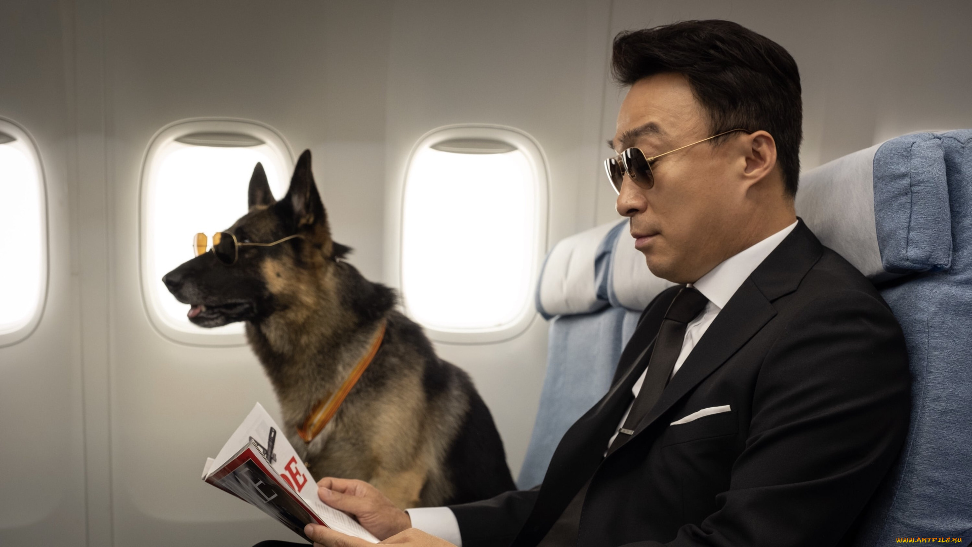 mr, , zoo, , the, missing, vip, , 2020, кино, фильмы, , the, missing, vip, мистер, зоопарк, южная, корея, кадры, из, фильма, комедия, боевик, фэнтези, lee, seong-min