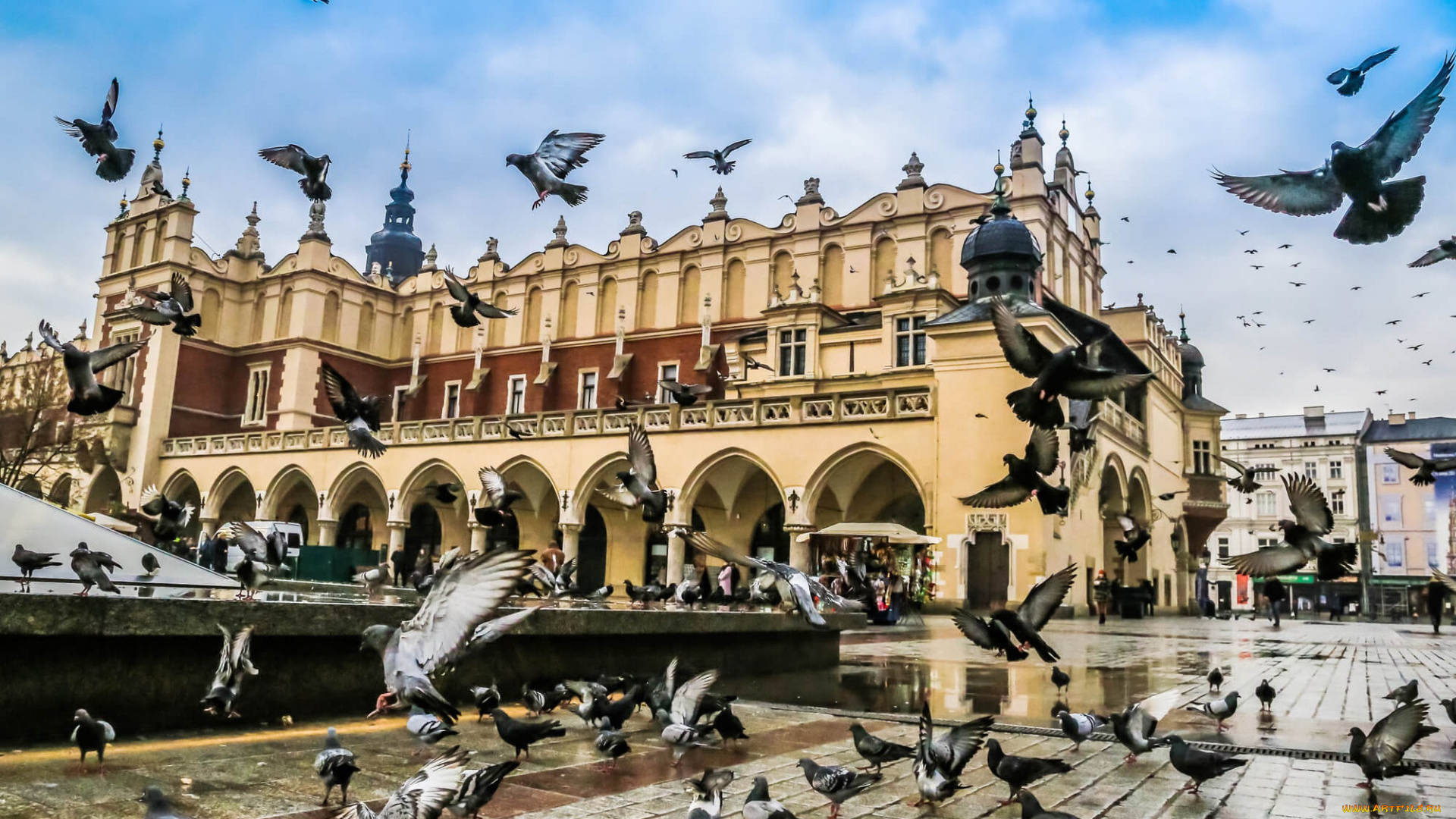 города, -, улицы, , площади, , набережные, the, cloth, hall, площадь, краков, голуби, фонтан, городской, вид, польша