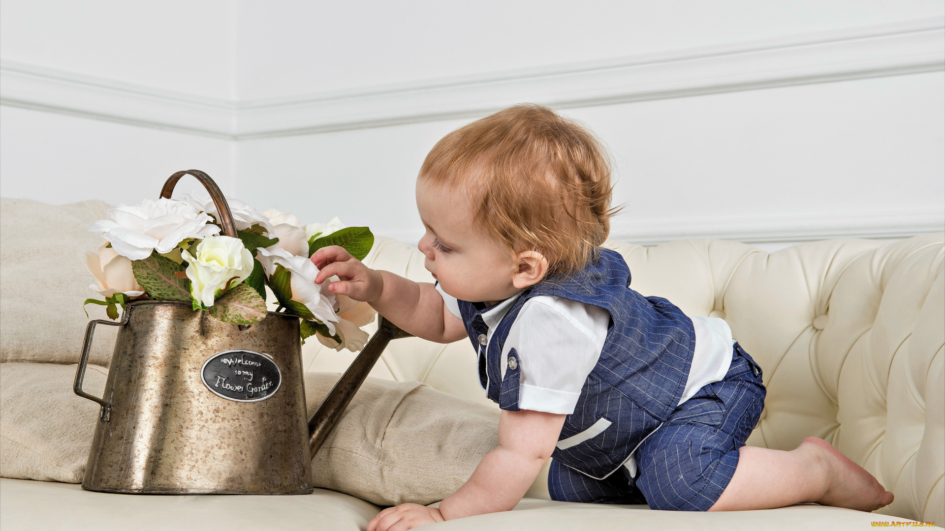 разное, дети, ребенок, диван, лейка, цветы