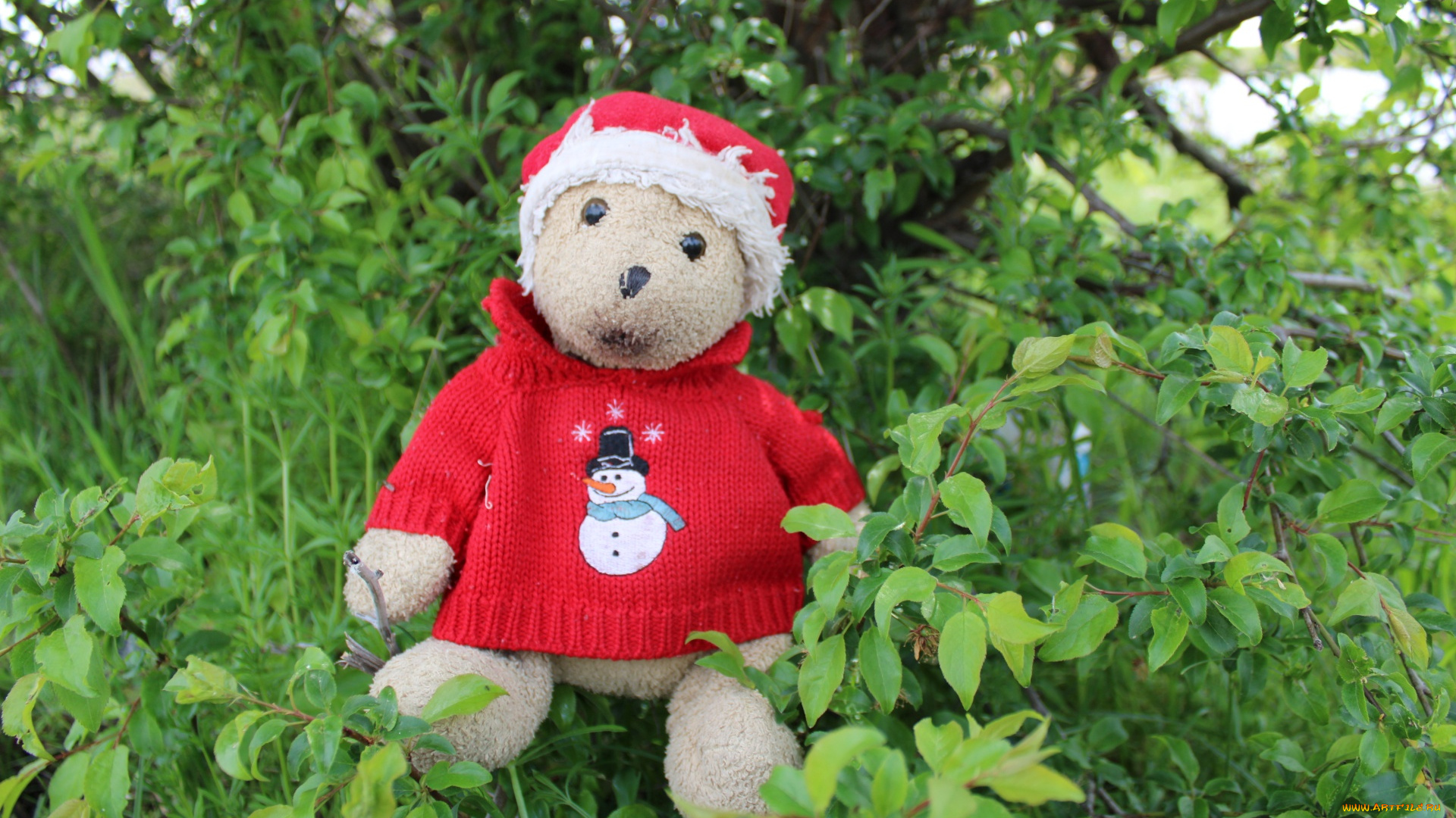 разное, игрушки, плюшевый, медвежонок