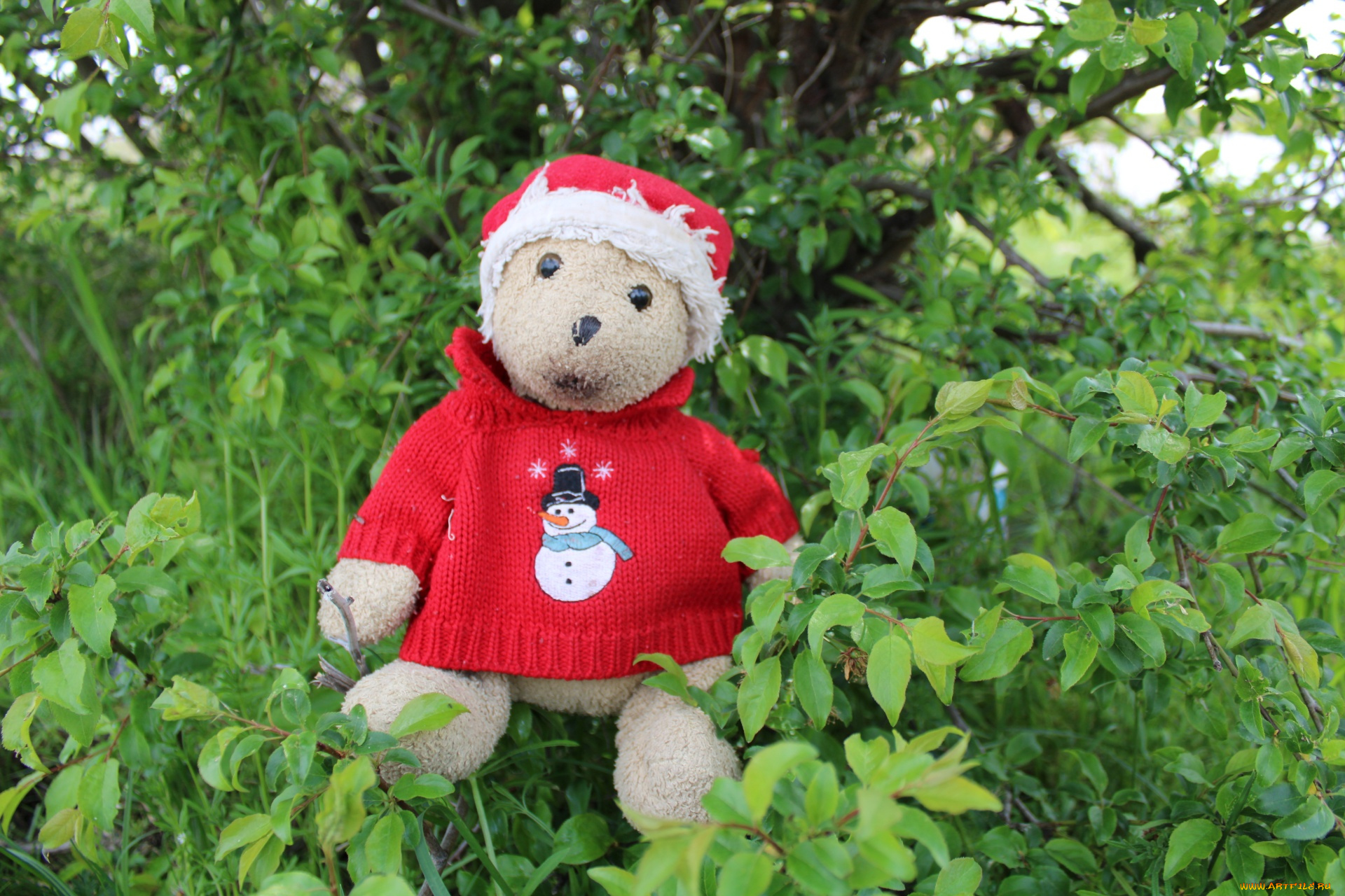 разное, игрушки, плюшевый, медвежонок