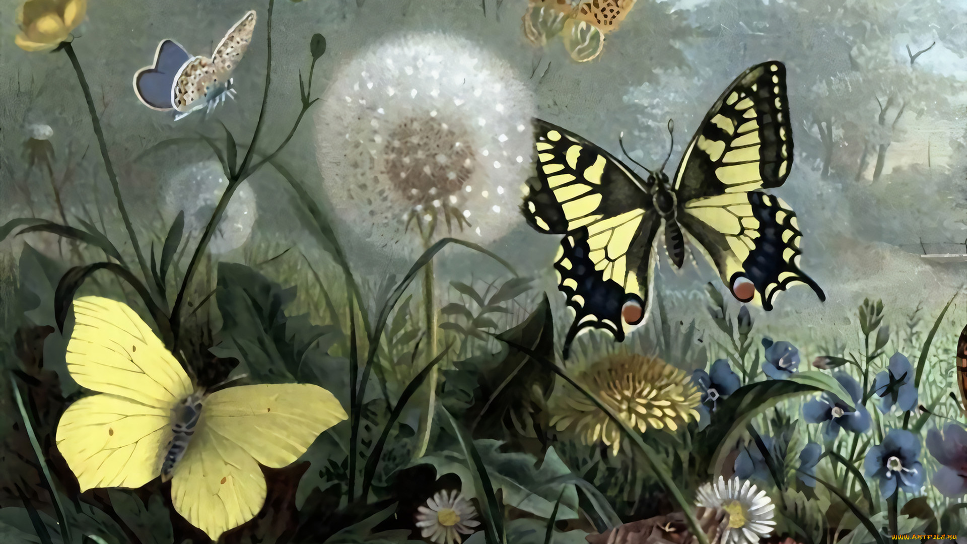 рисованное, животные, , бабочки, бабочки, цветы