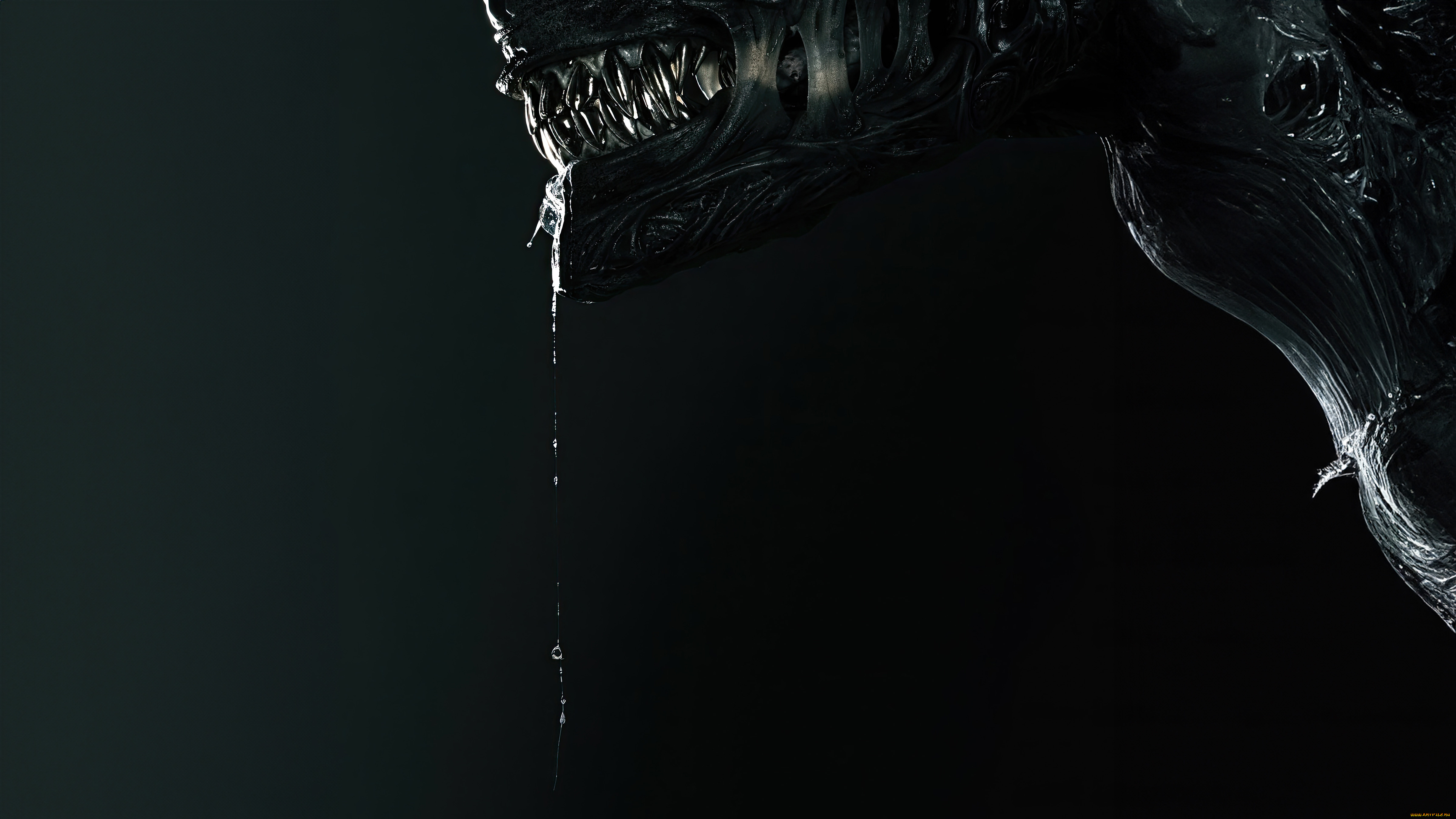 alien, , romulus, кино, фильмы, romulus, чужой, ромул, 2024