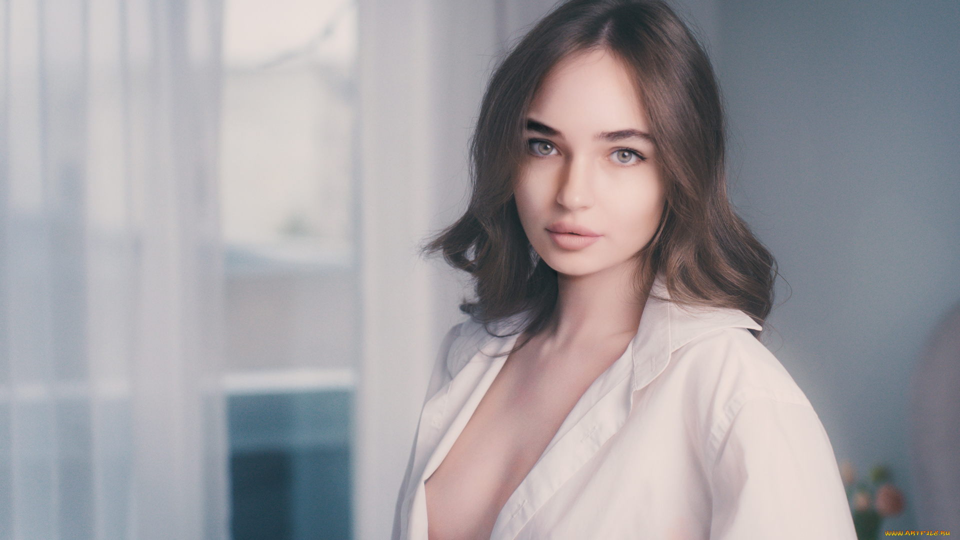 девушки, -, брюнетки, , шатенки, девушка, позирует