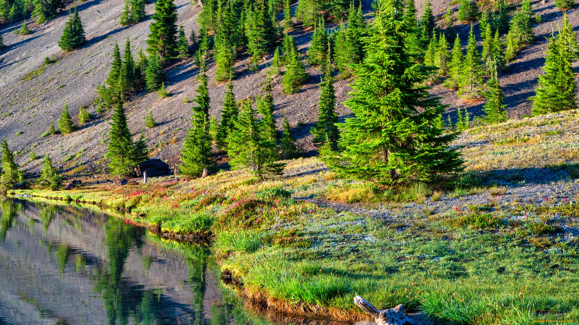 природа, реки, озера, пейзаж