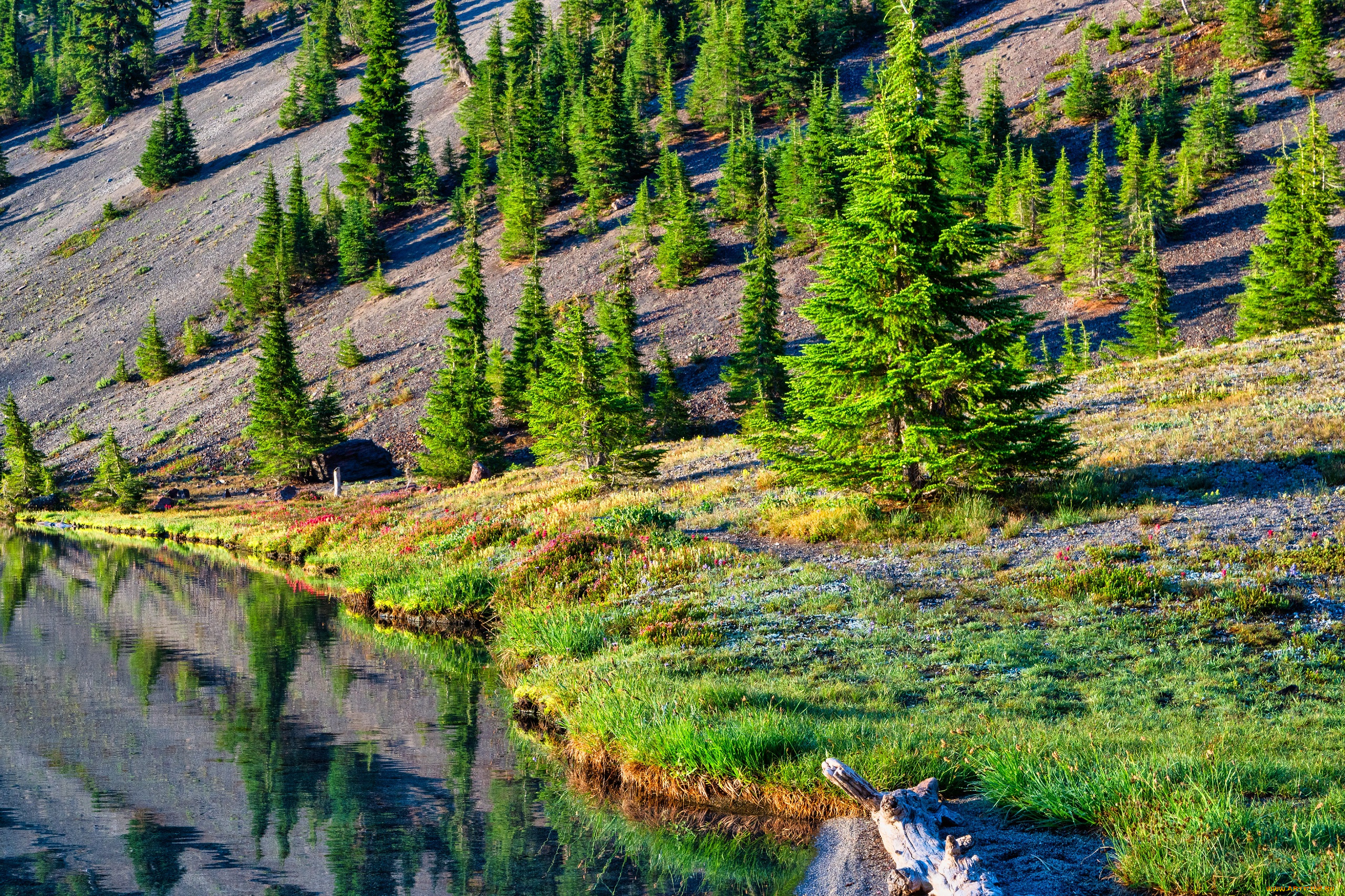 природа, реки, озера, пейзаж