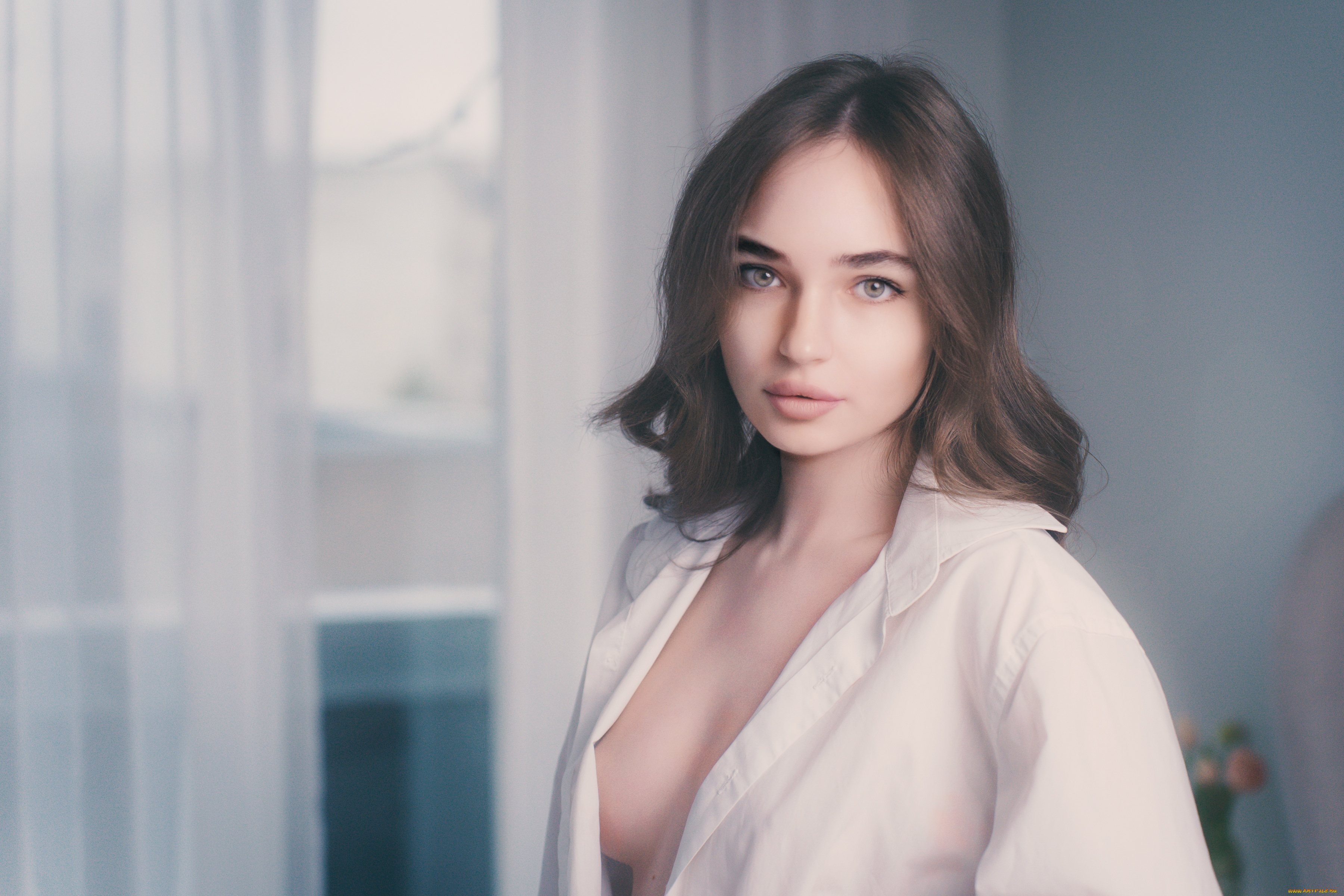 девушки, -, брюнетки, , шатенки, девушка, позирует