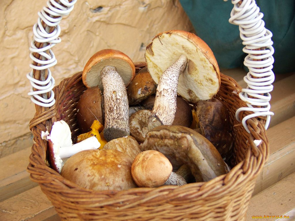 еда, грибы, грибные, блюда