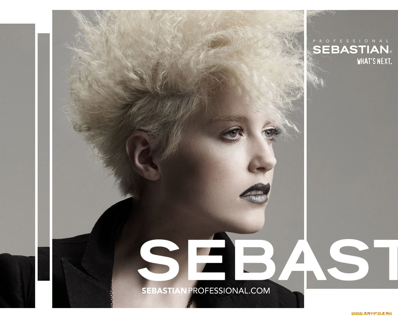 бренды, sebastian