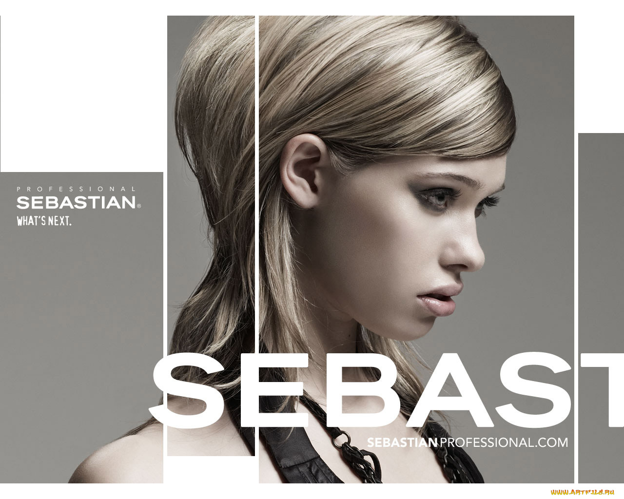 бренды, sebastian