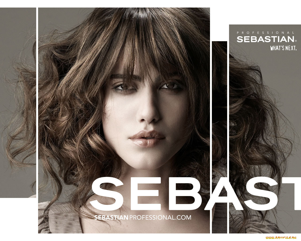 бренды, sebastian