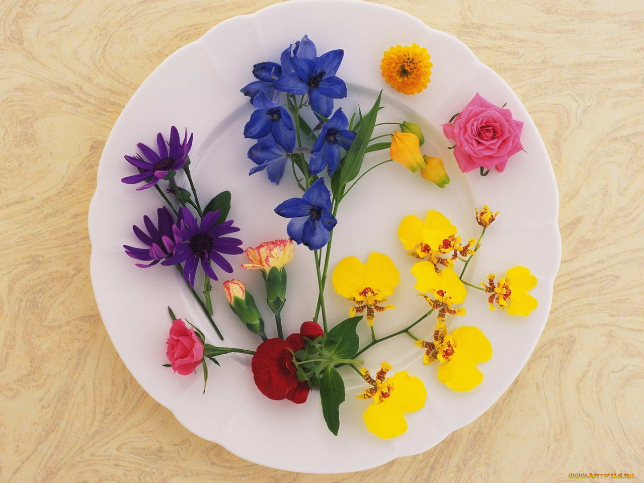 цветы, букеты, композиции