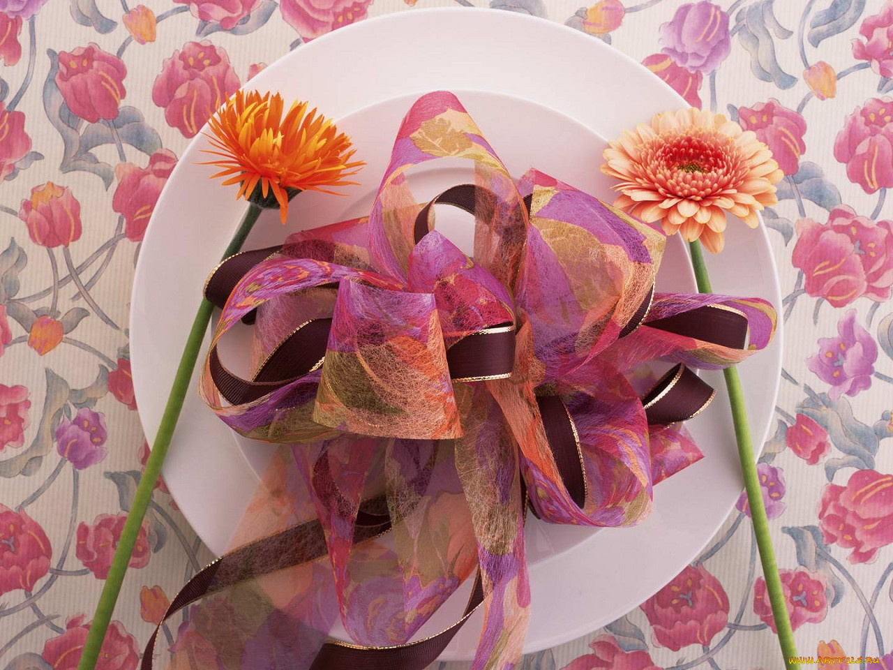 цветы, герберы