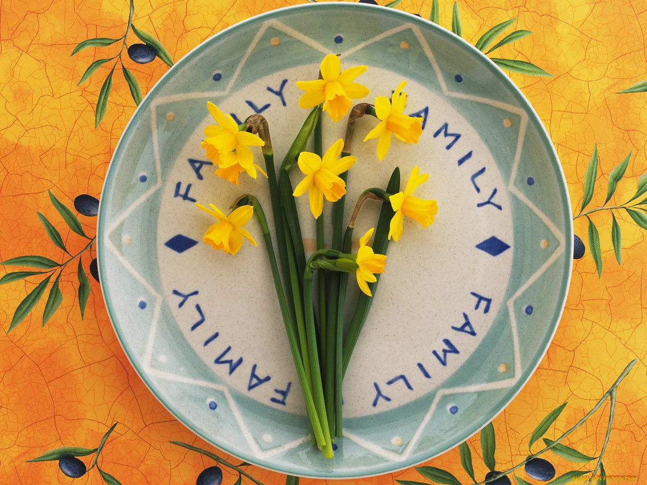 цветы, нарциссы