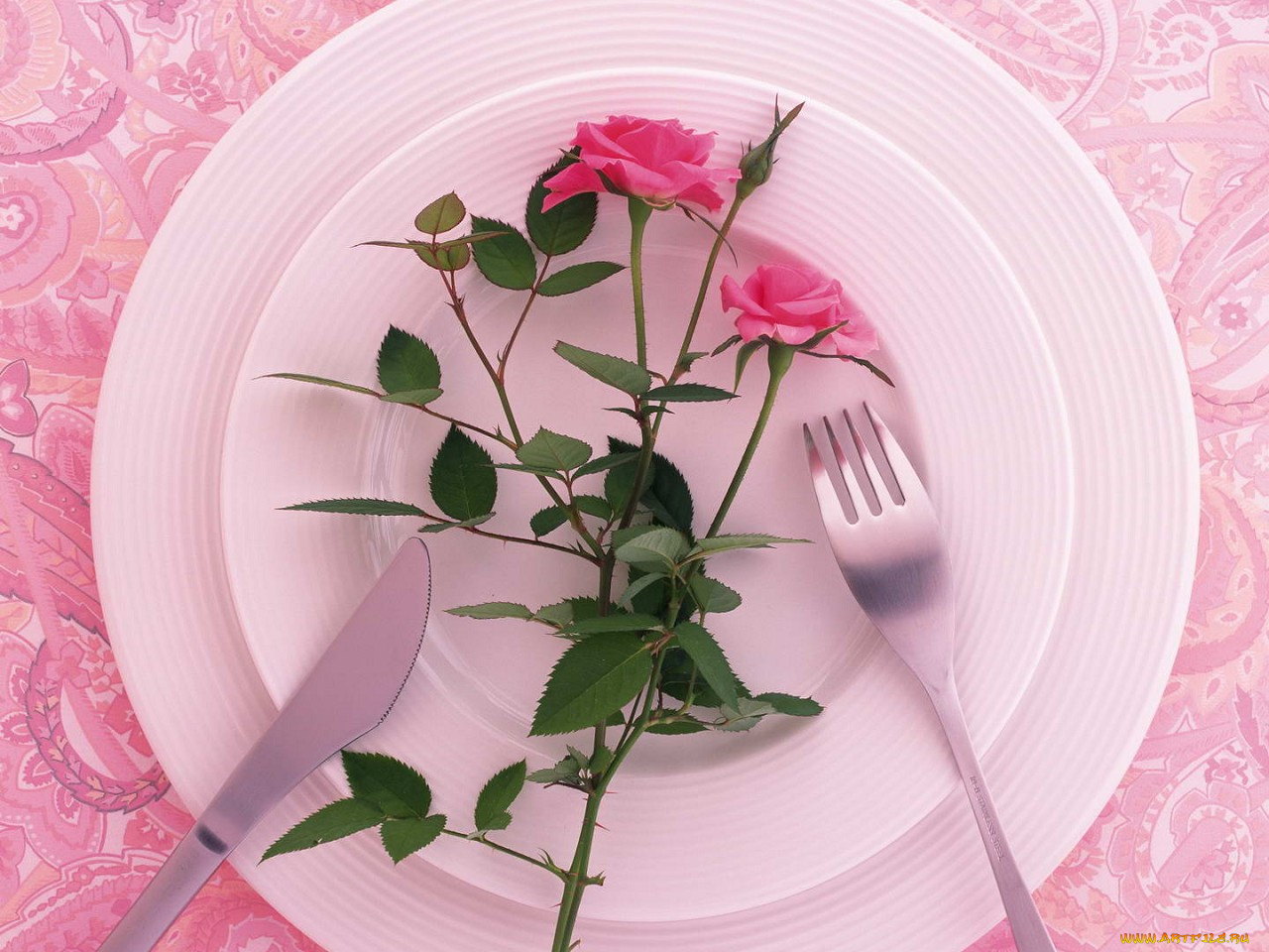 цветы, розы