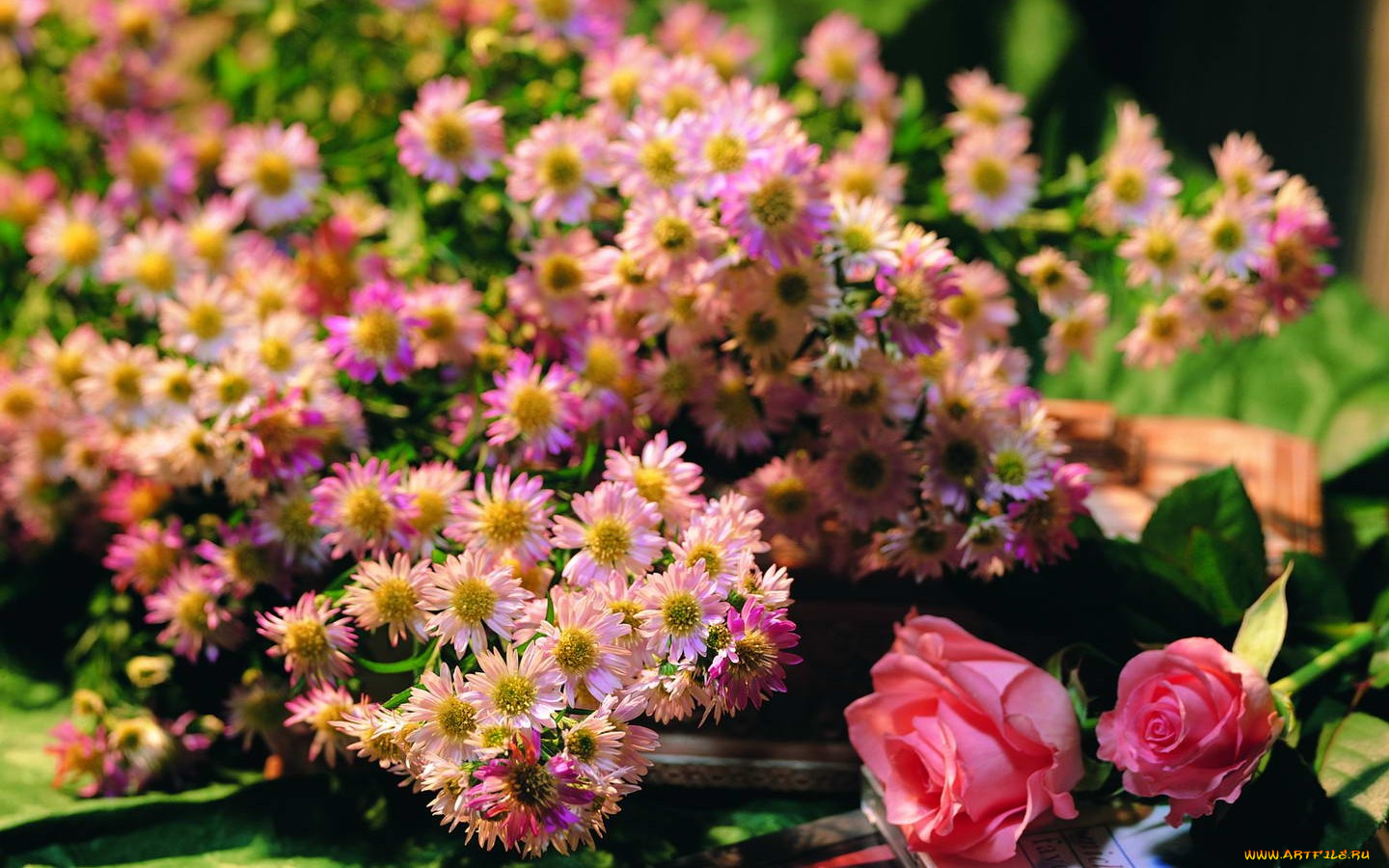 цветы, разные, вместе