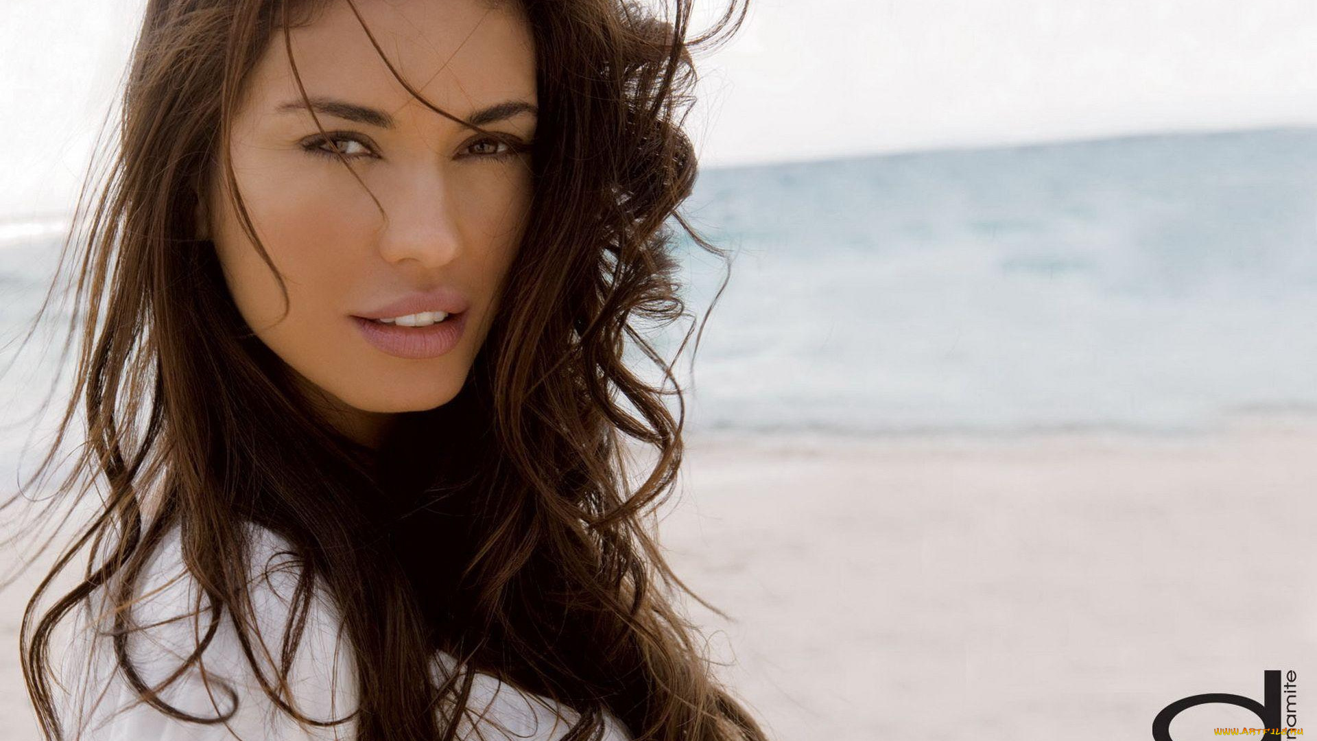 бренды, dynamite