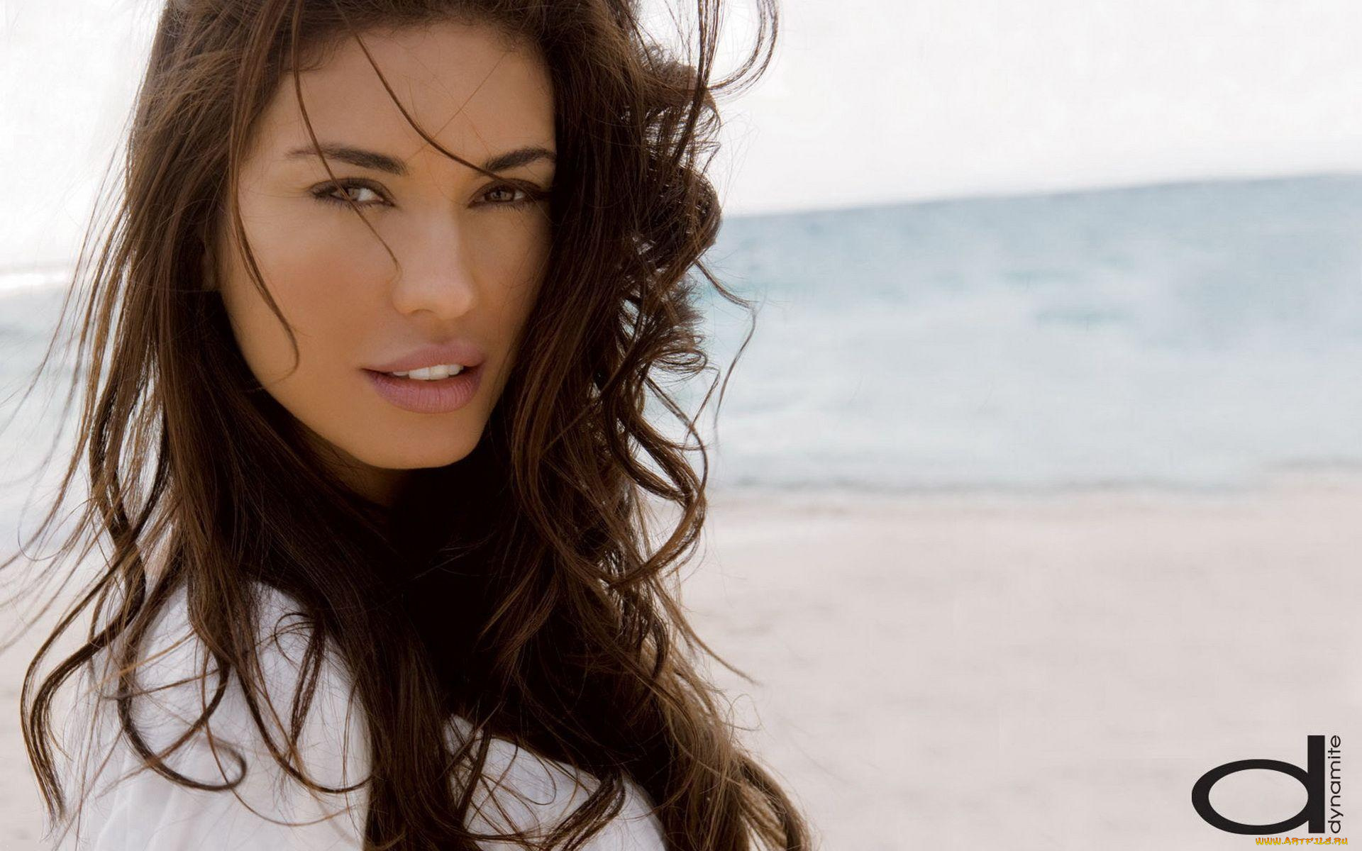 бренды, dynamite