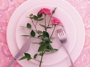 обоя цветы, розы