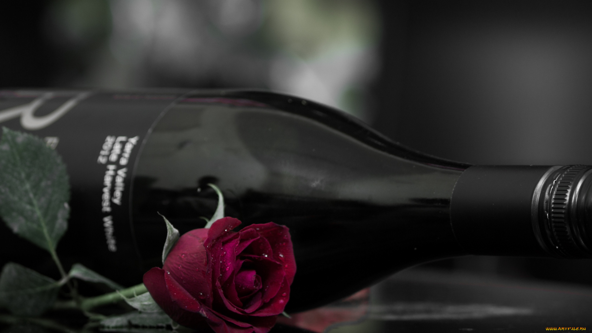 еда, напитки, вино, бутылка, роза