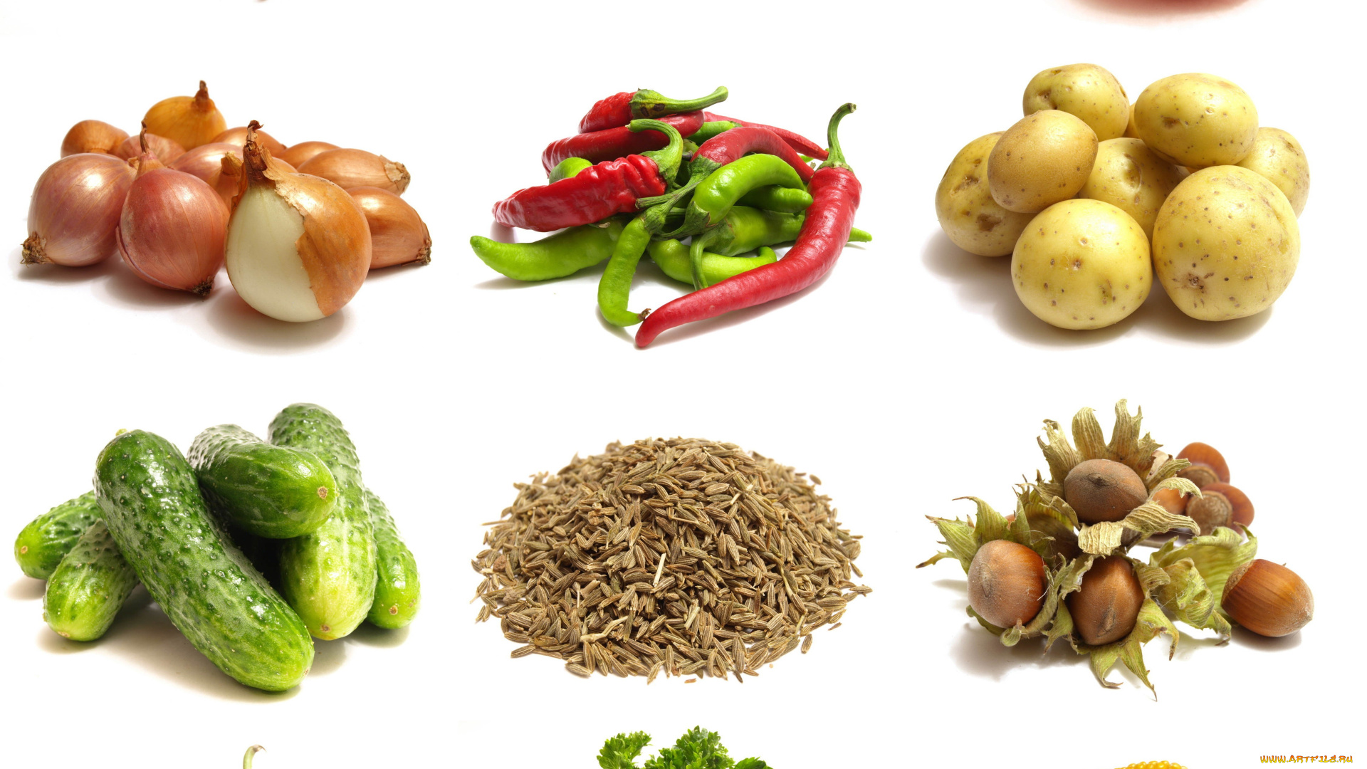 еда, разное, орехи, белый, фон, коллаж, злаки, овощи, баклжаны, зелень, кукуруза, огурцы, томаты, грибы, перец