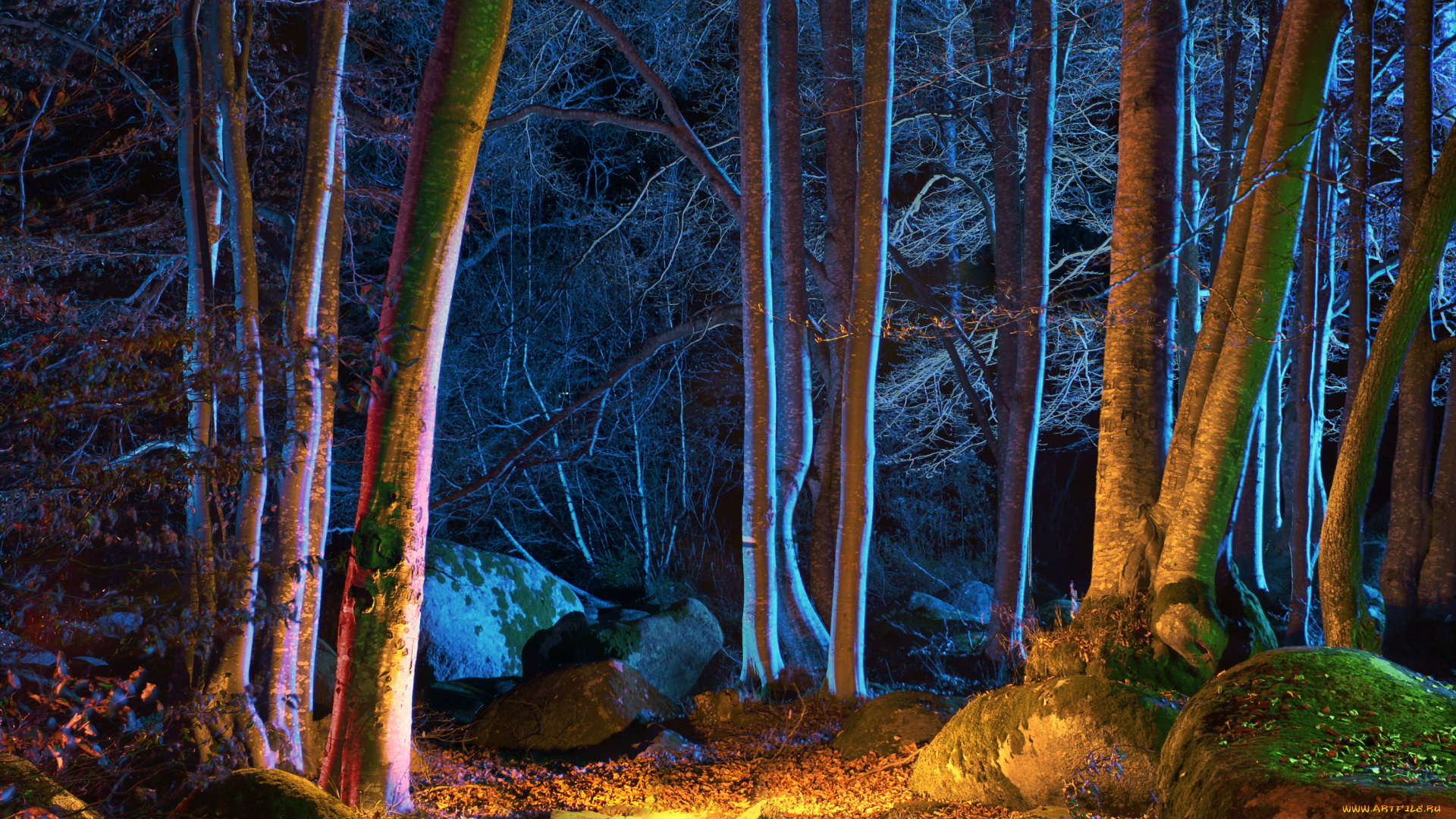 природа, лес