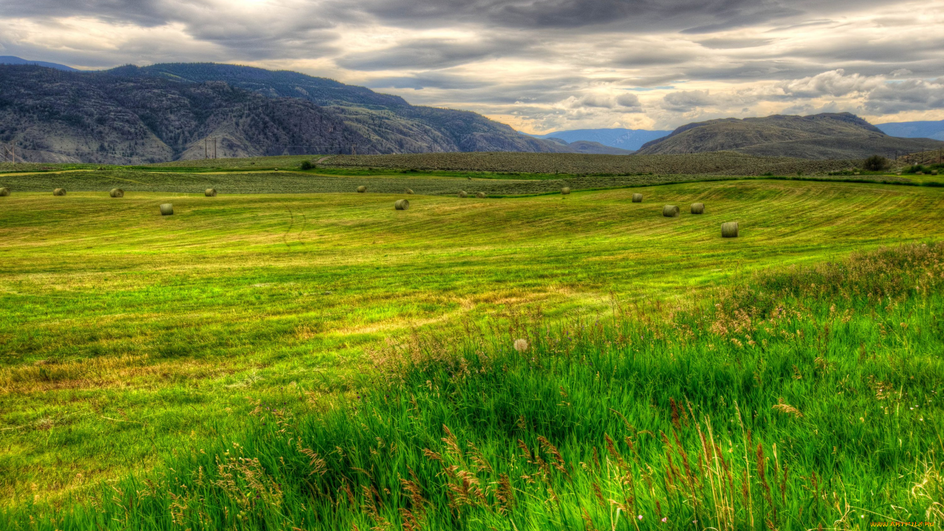 природа, поля, канада