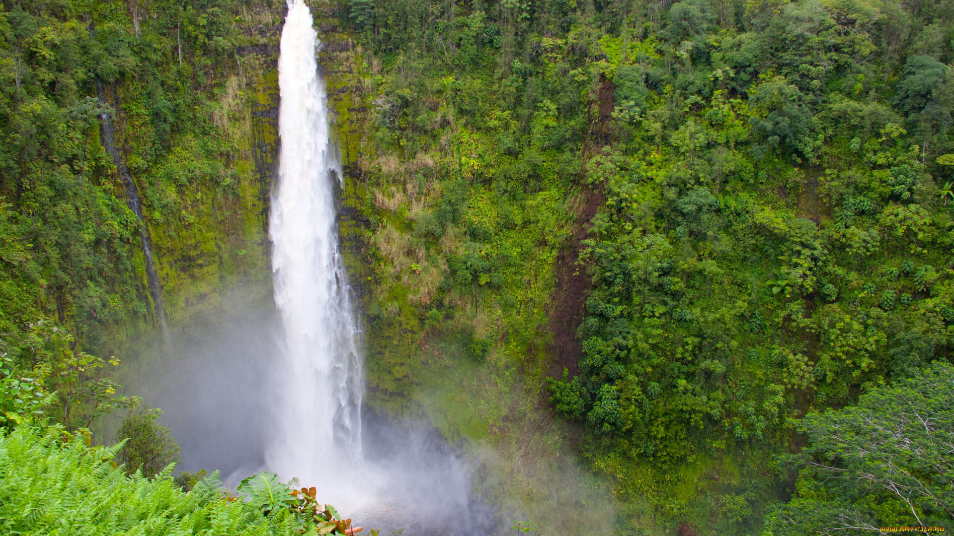 природа, водопады, гавайи, ущелье