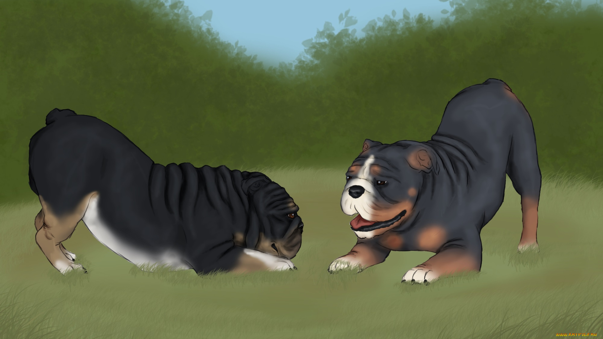 рисованные, животные, собаки