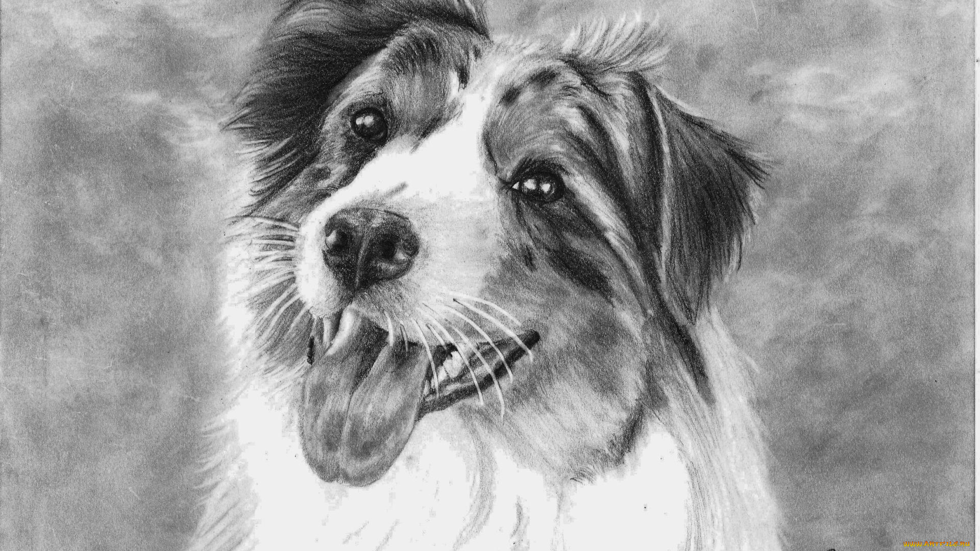 рисованные, животные, собаки, собака