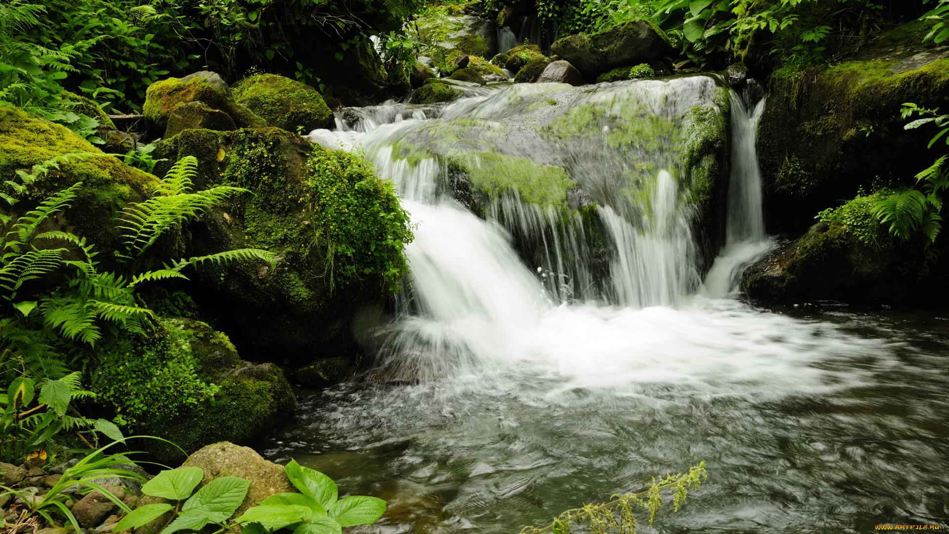 waterfall, in, mtirala, national, park, грузия, аджария, природа, водопады, водопад, лес